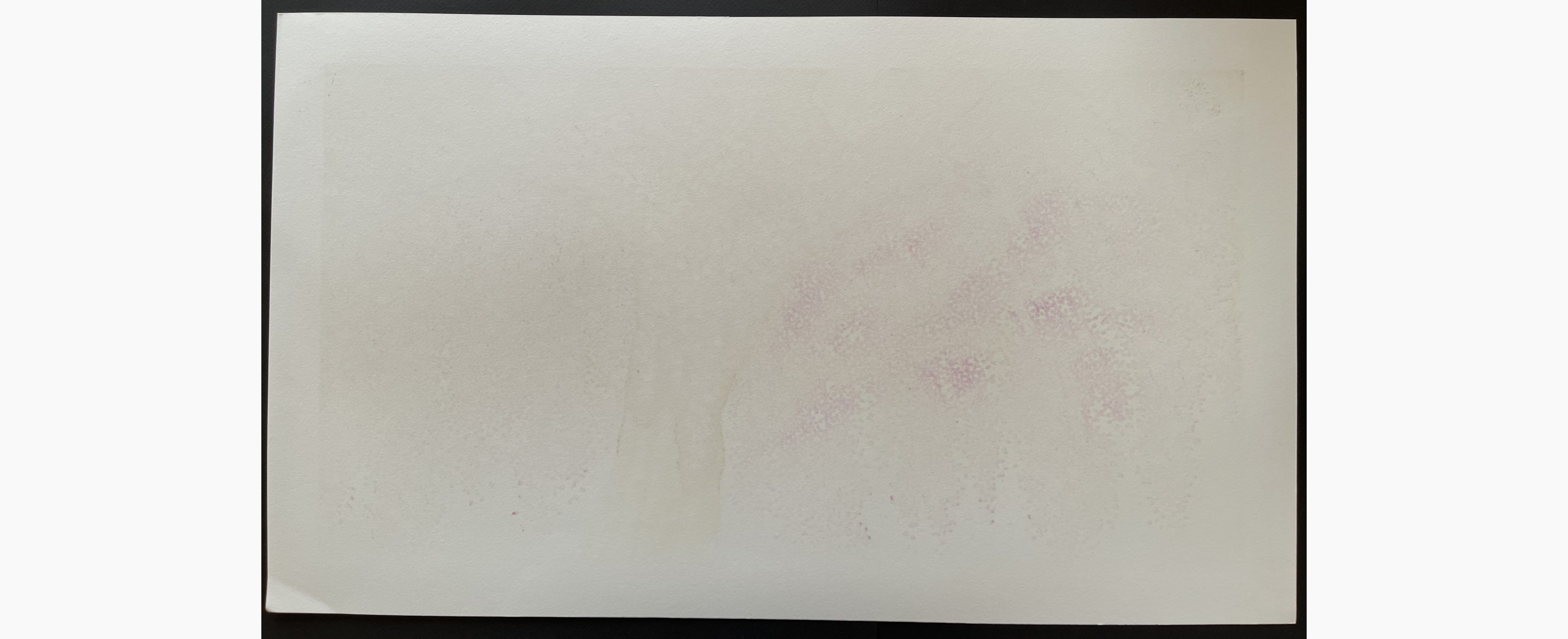 Woodblock print - Hajime Namiki - Weeping Cherry 30