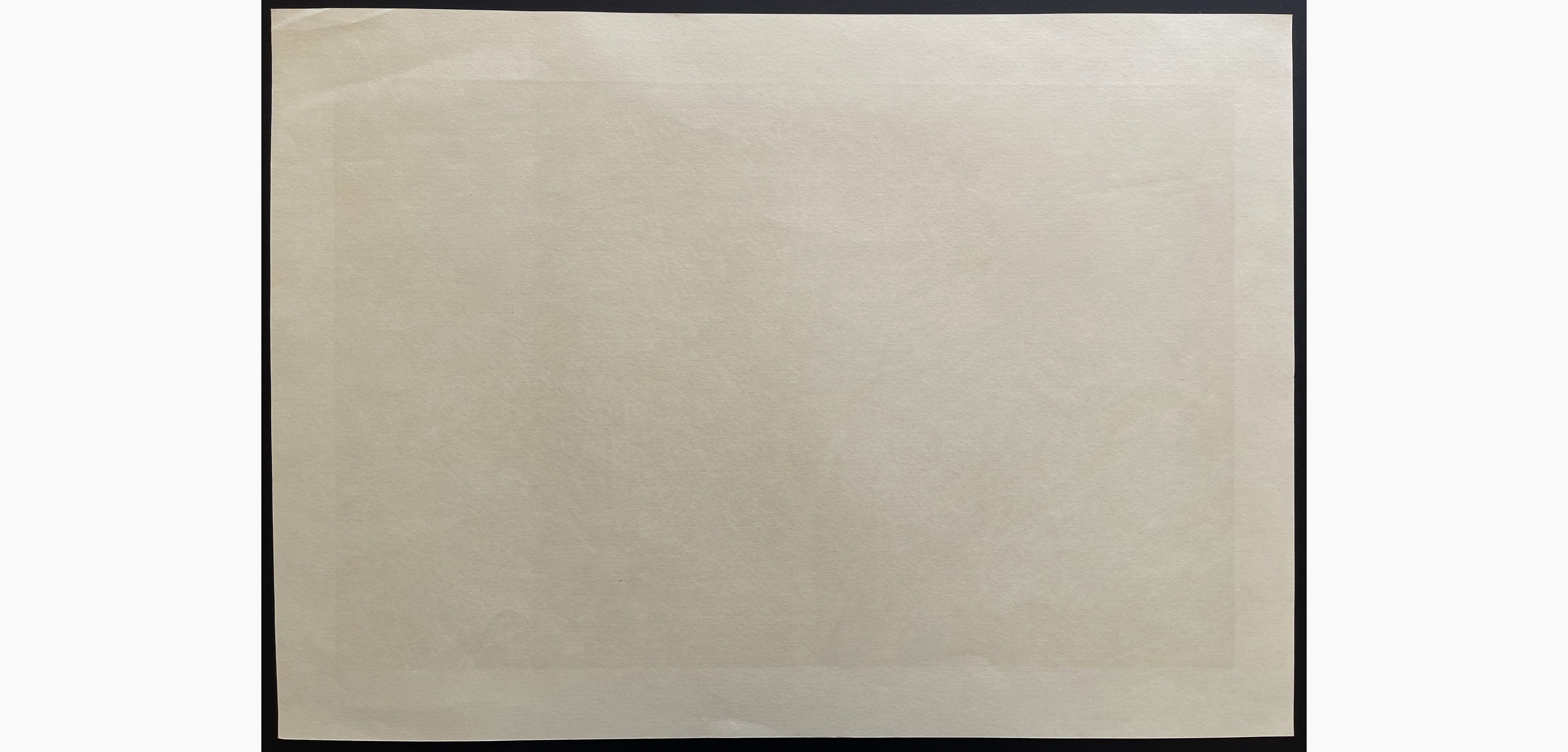 Woodblock print - Nishida Tadashige - White Trees (4)