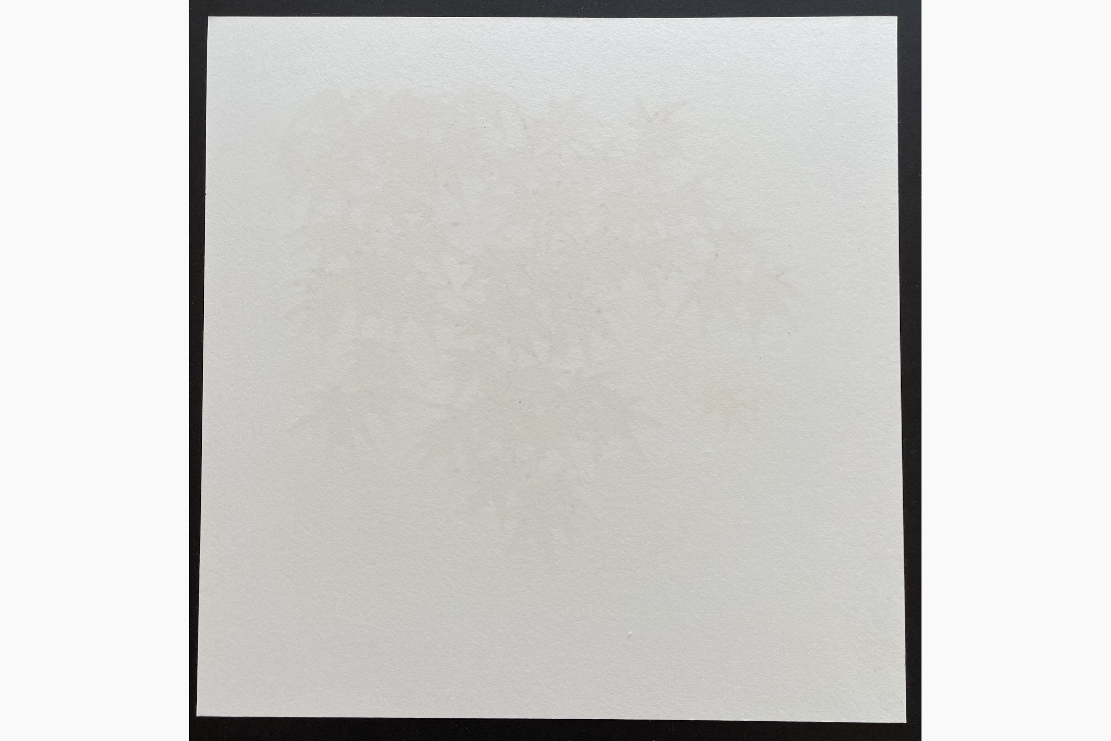 Woodblock print - Hajime Namiki - Momiji-1