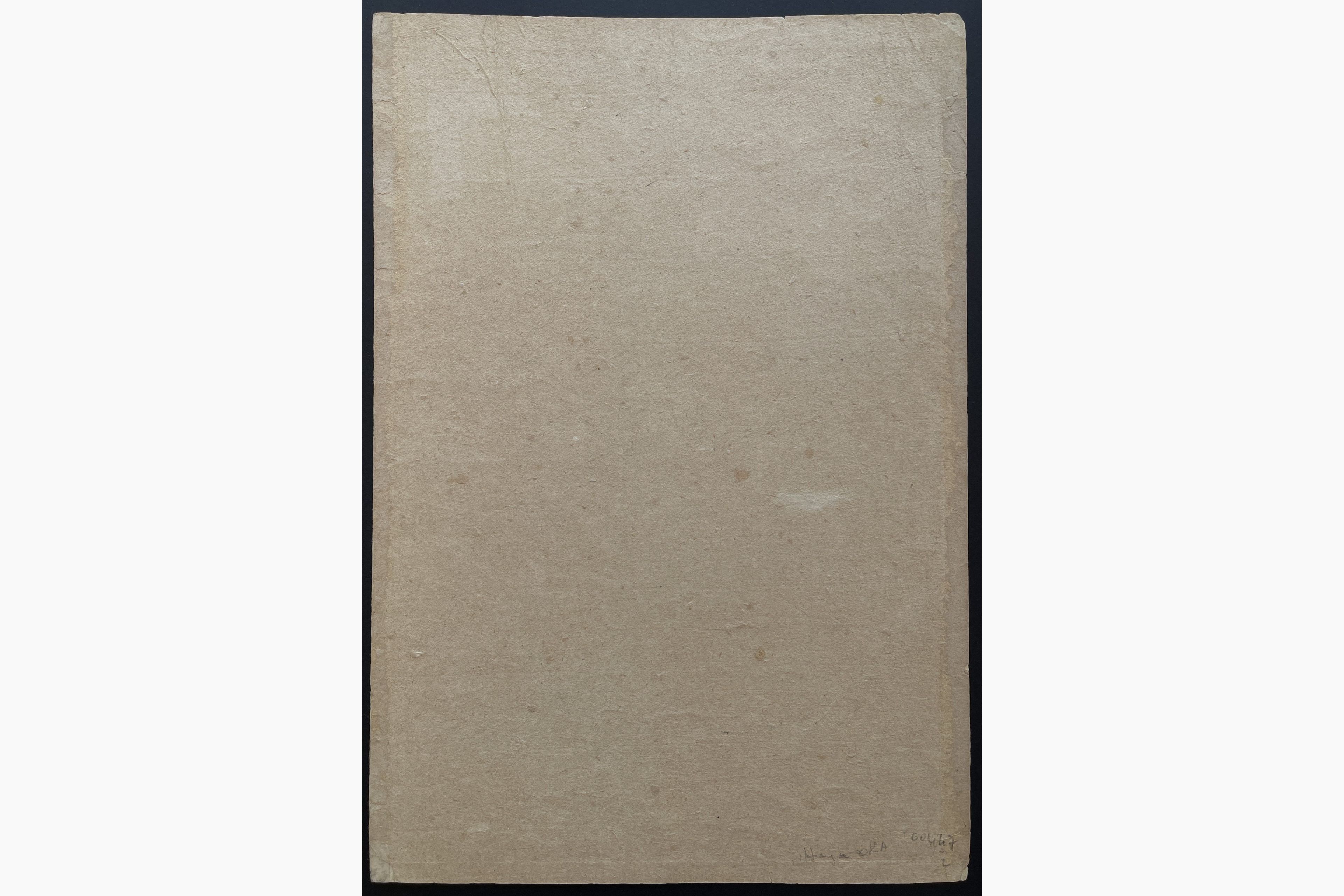 Japanese print - Ayaoka Yushin - Kirifuji Waterfall