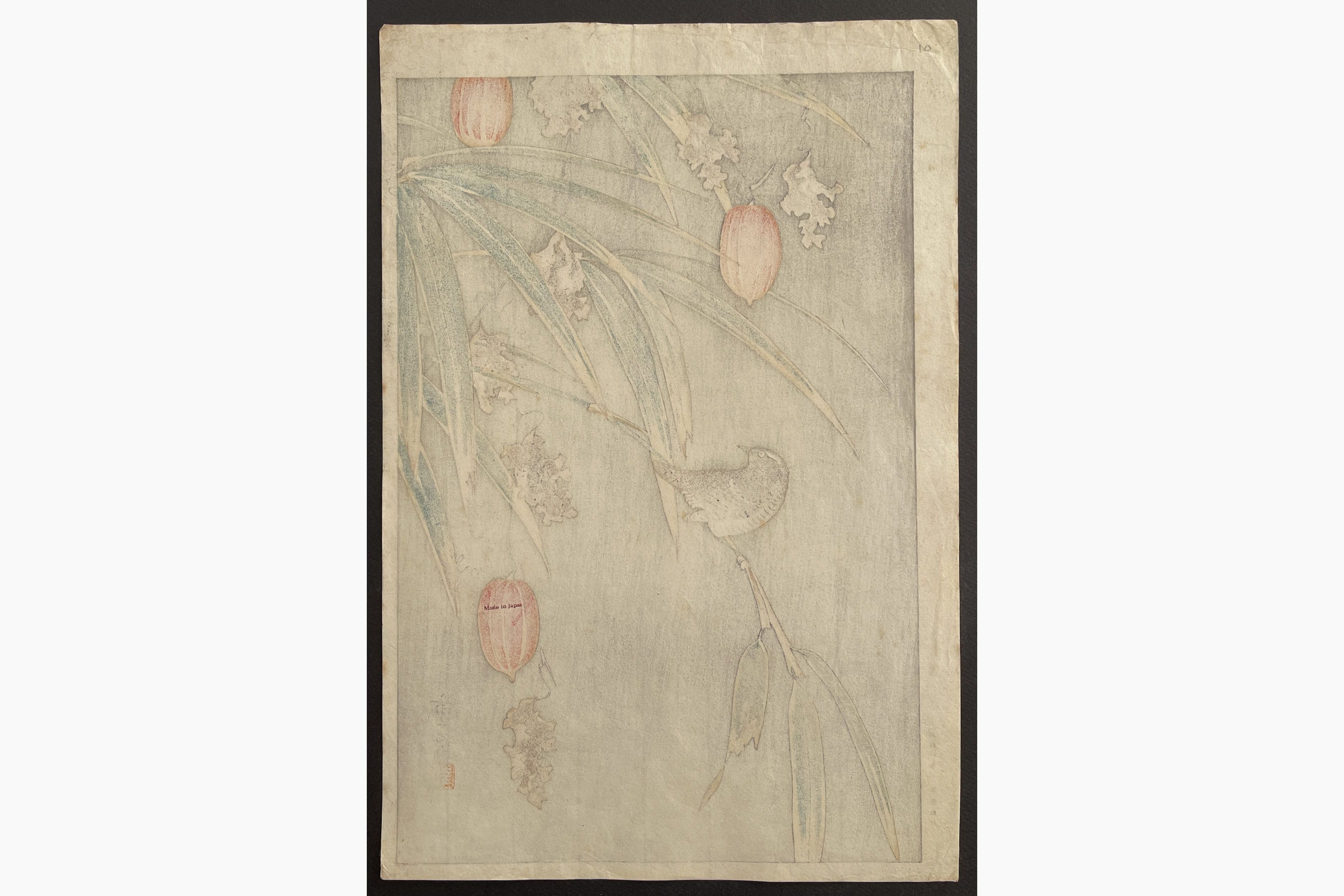 Japanese print - Ono Shigeyuki - Bird and Japanese Lantern Plant