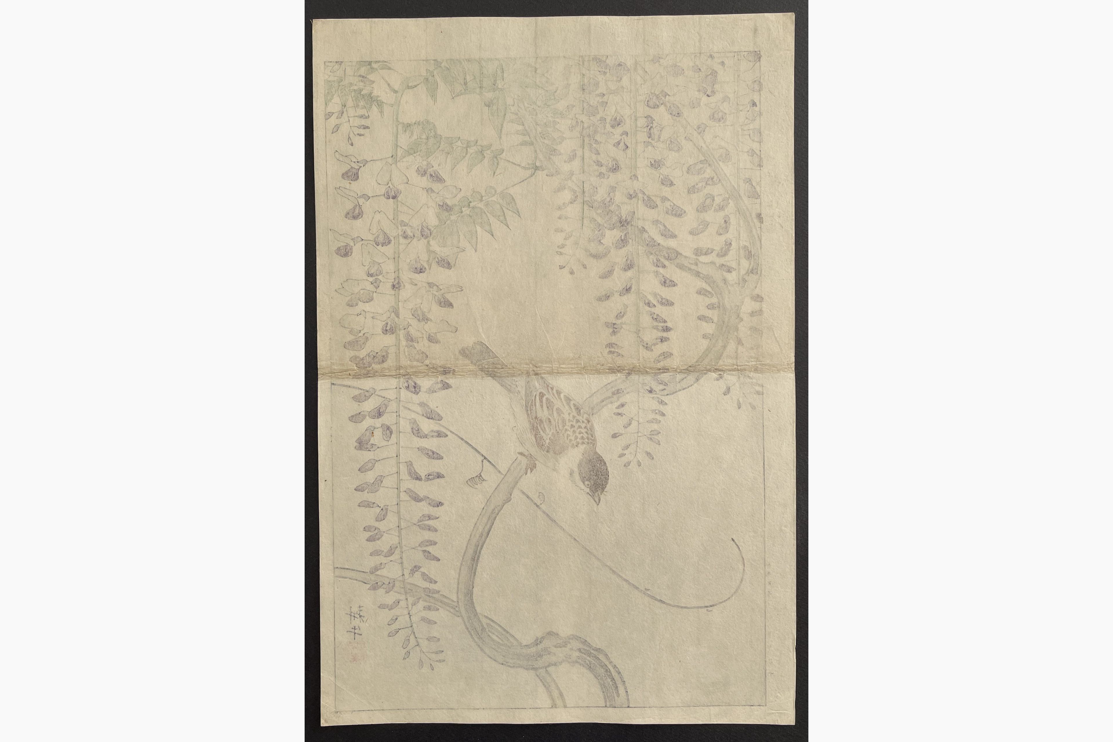 Japanese print - Ono Shigeyuki - Sparrow and Wisteria