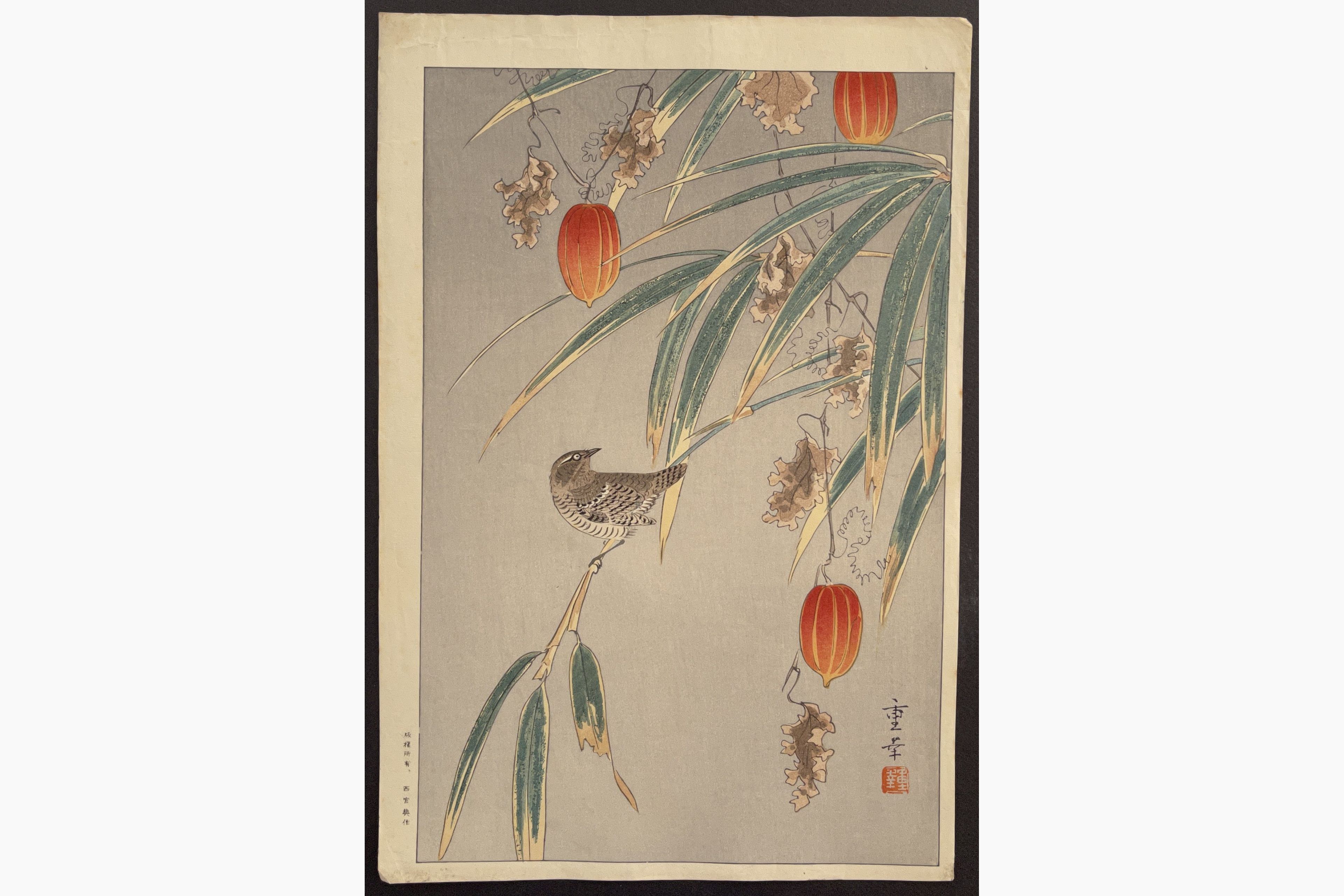 Japanese woodblock print - Ono Shigeyuki - Bird and Japanese Lantern Plant