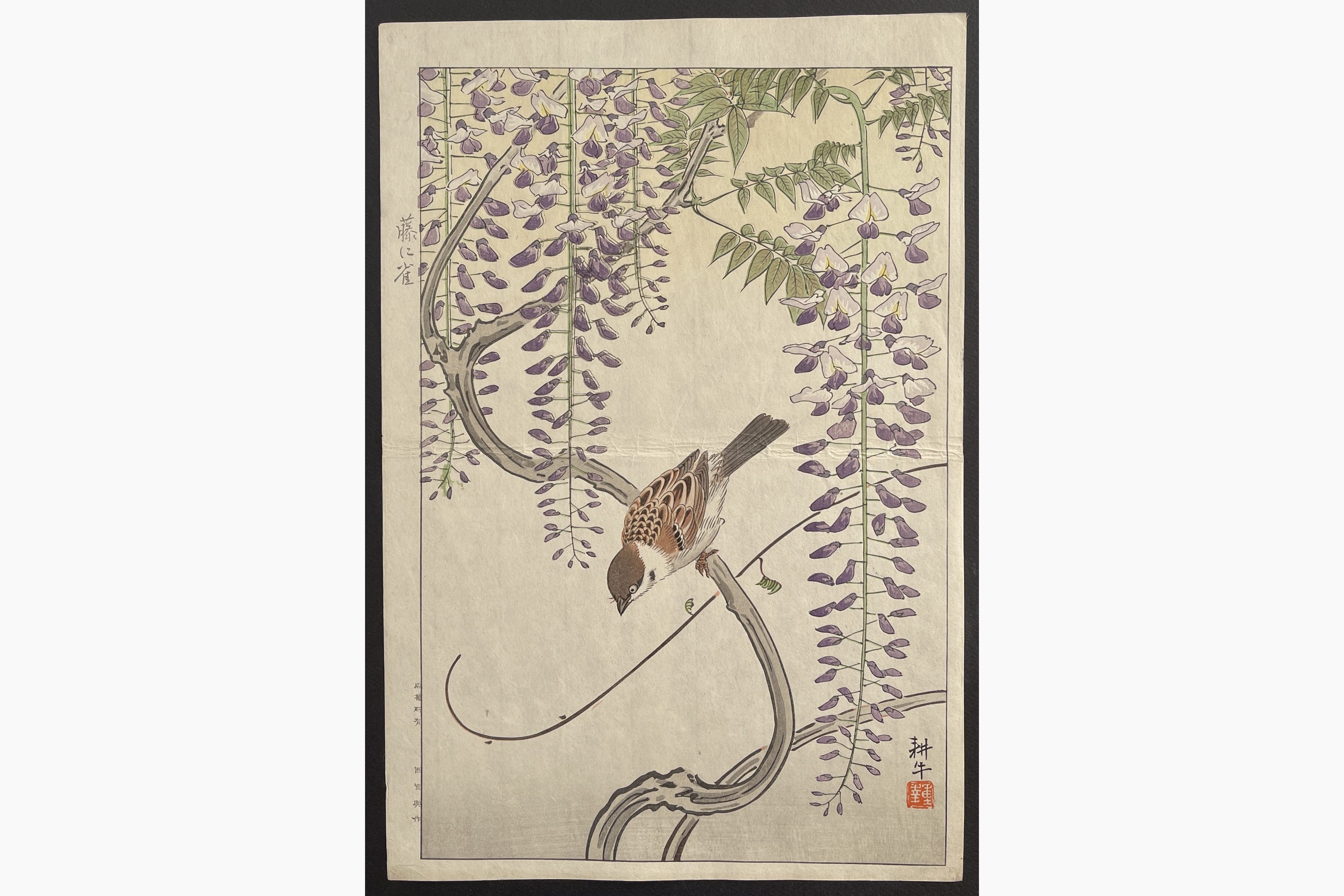 Japanese woodblock print - Ono Shigeyuki - Sparrow and Wisteria