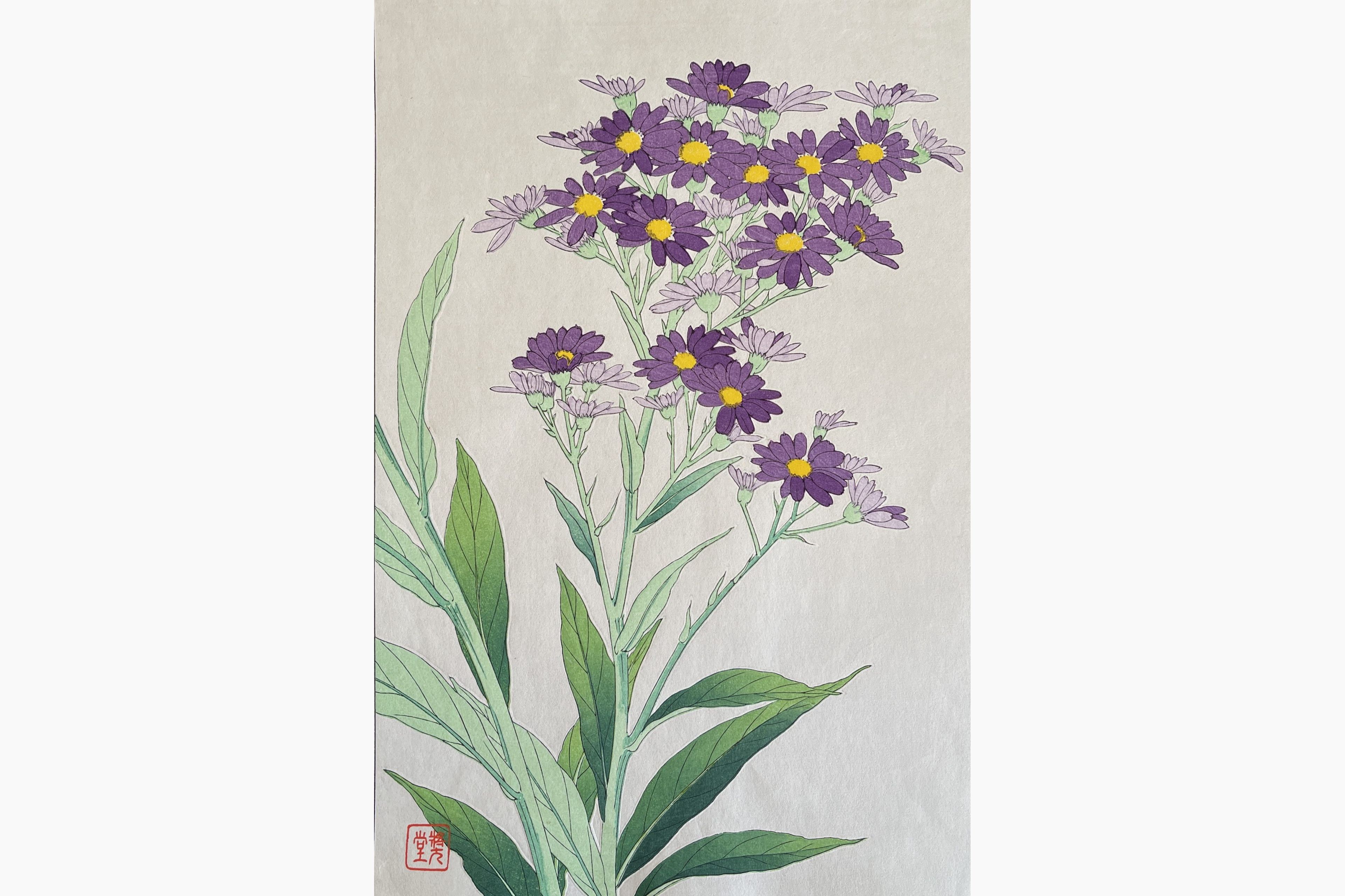 Original woodblock print - Kawarazaki Shodo - Michaelmas Daisy