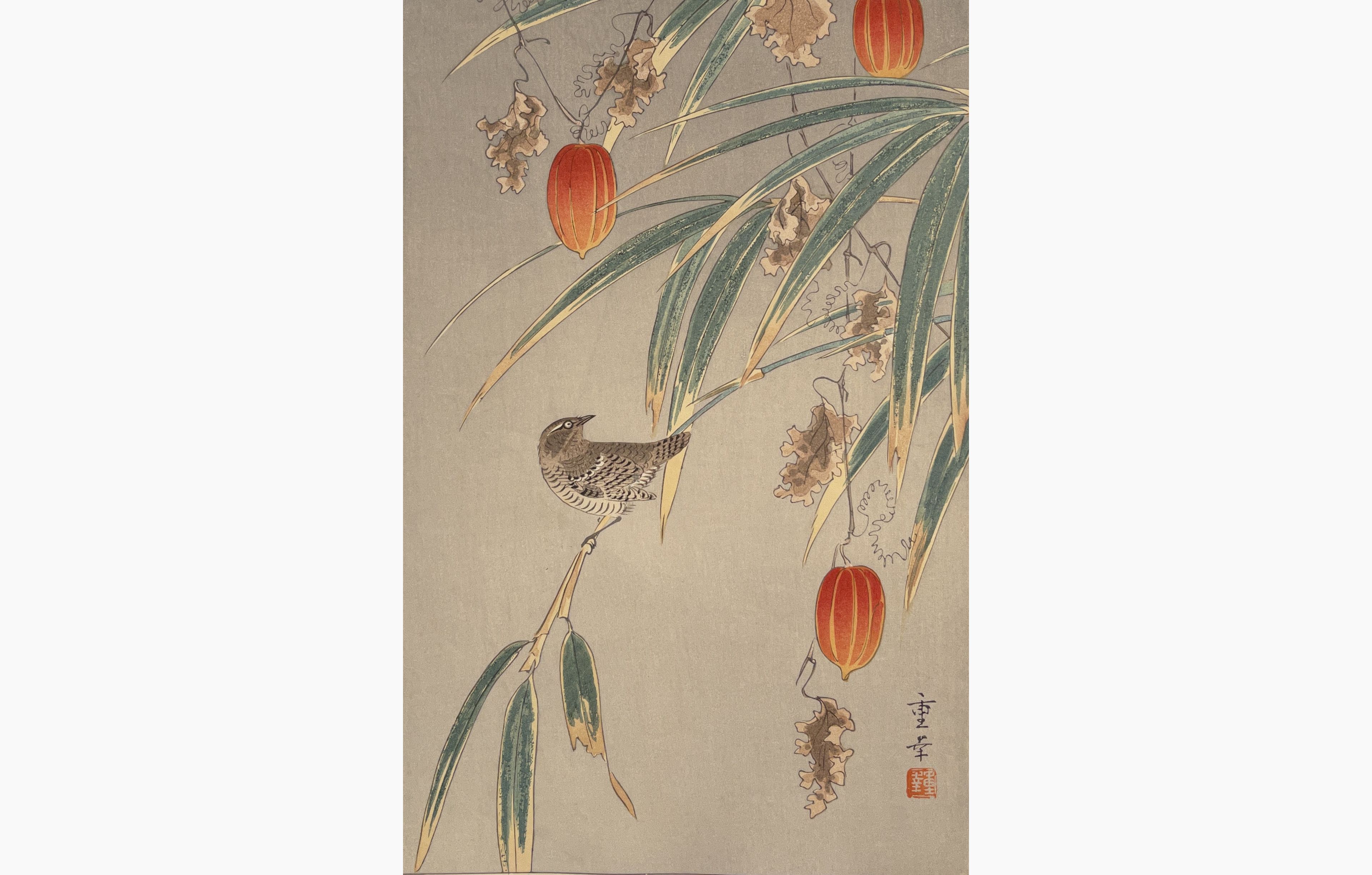 Original woodblock print - Ono Shigeyuki - Bird and Japanese Lantern Plant