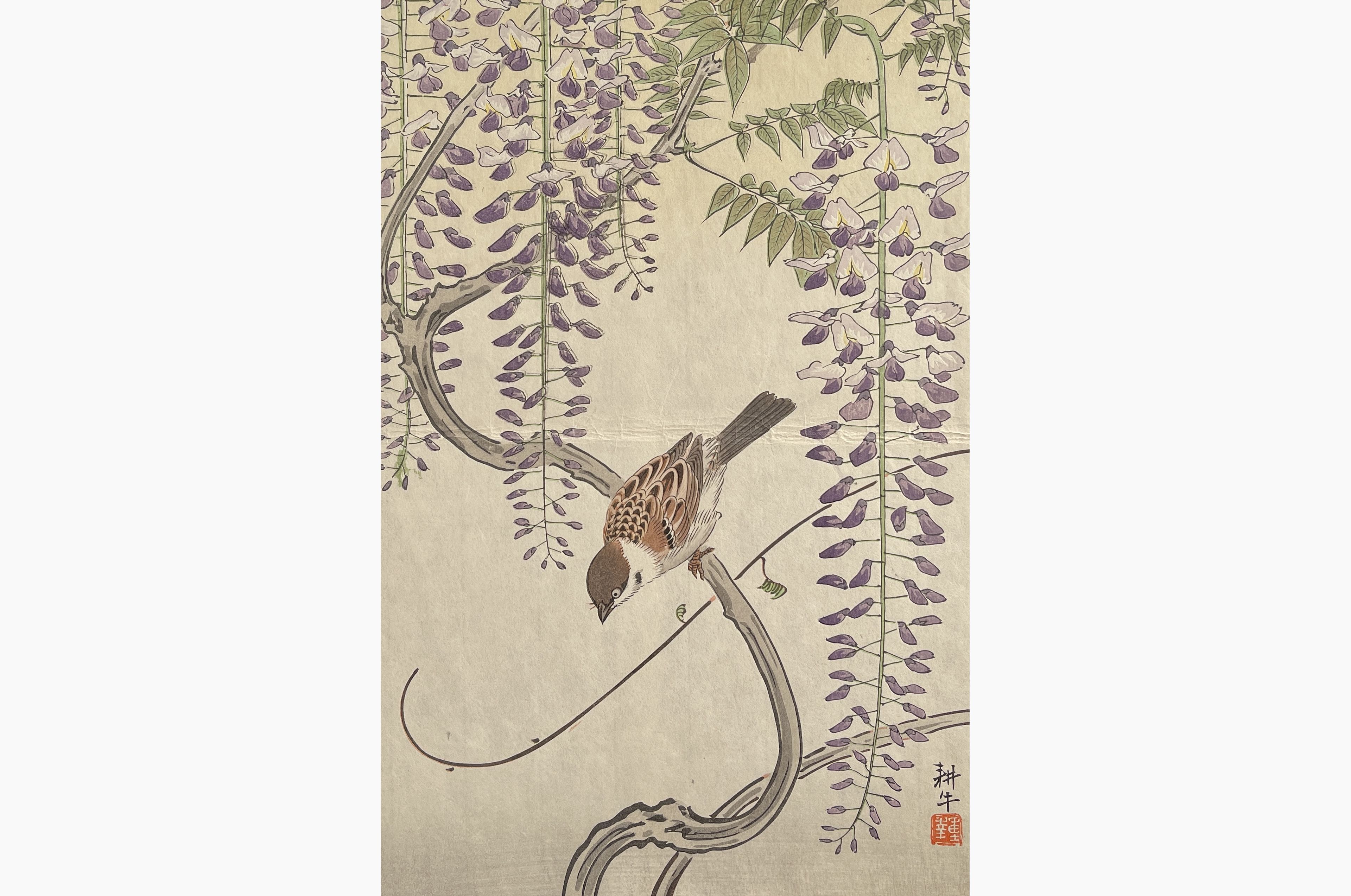 Original woodblock print - Ono Shigeyuki - Sparrow and Wisteria
