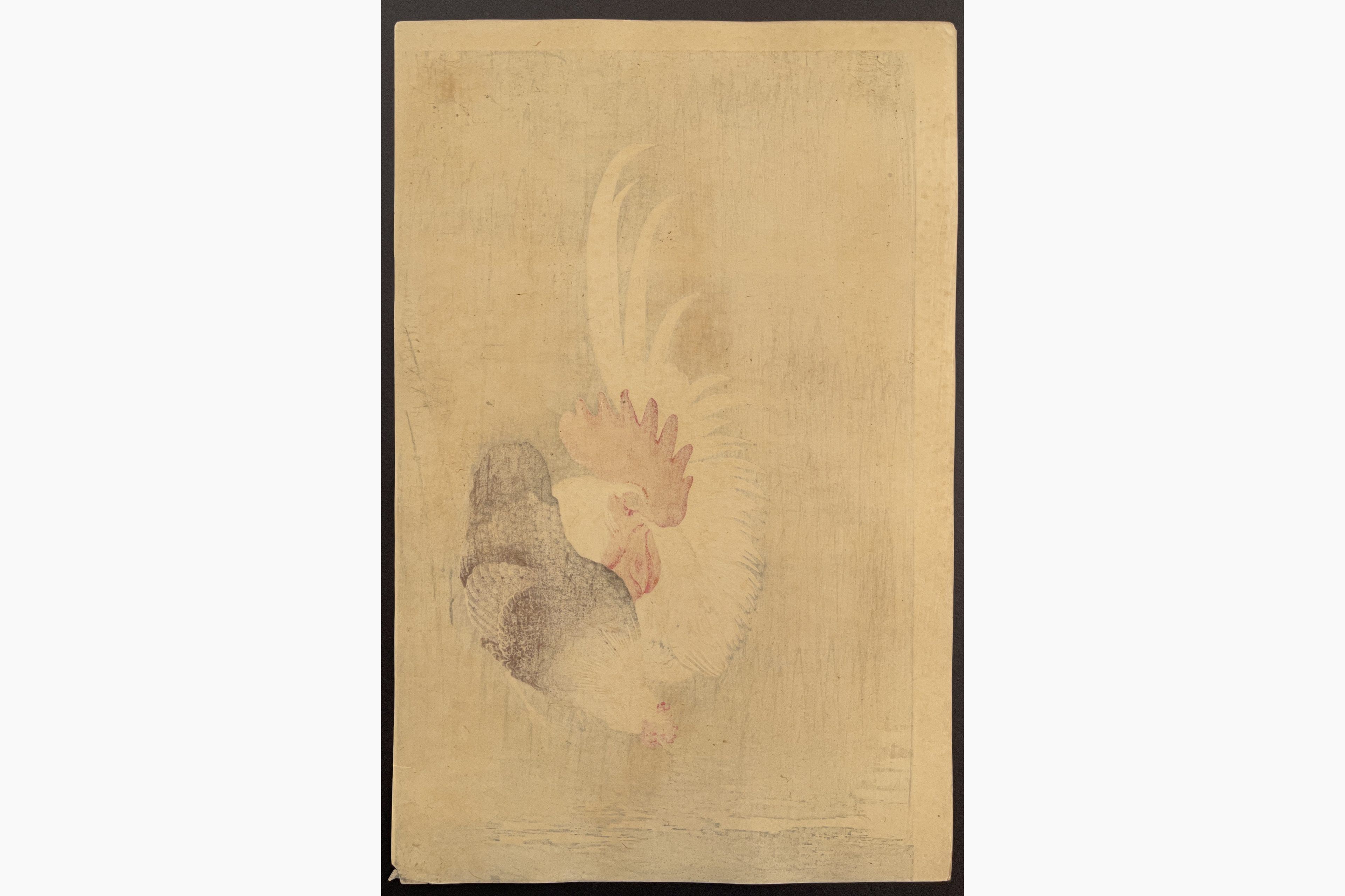 Japanese print - Ohara Koson - Rooster and Hen
