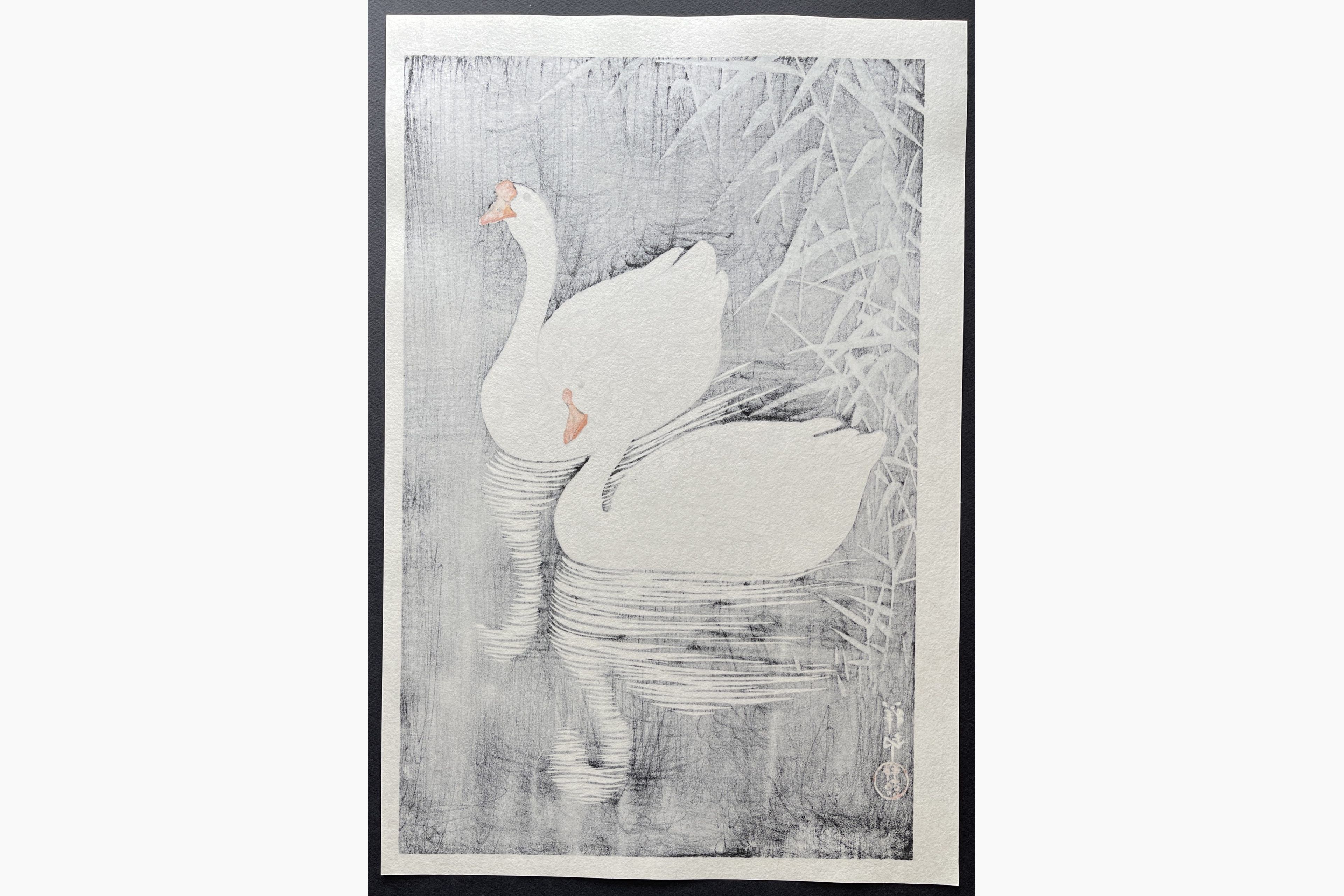 Japanese print - Ohara Koson - Two Geese Swimming near Reeds
