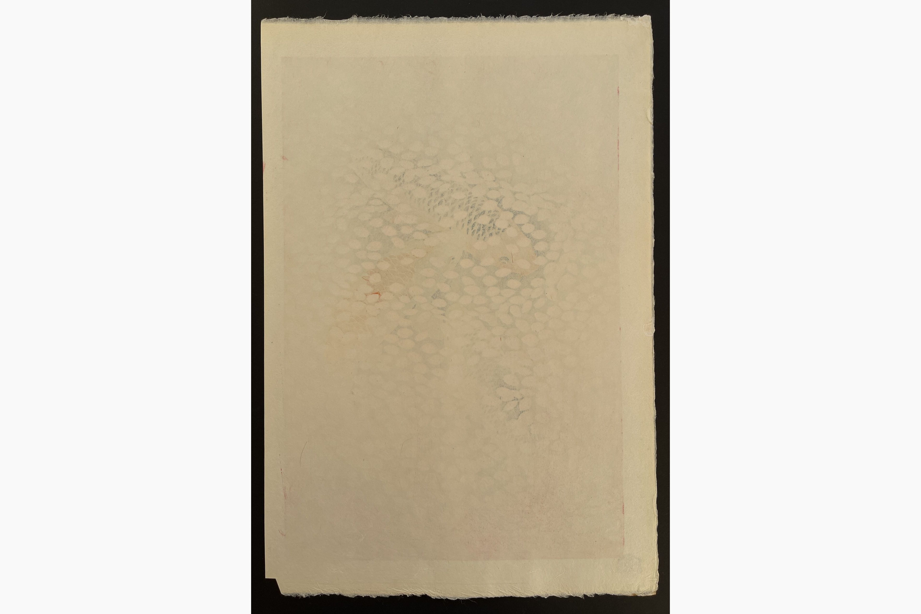 Japanese print - Kasamatsu Shiro - Waves of Petals