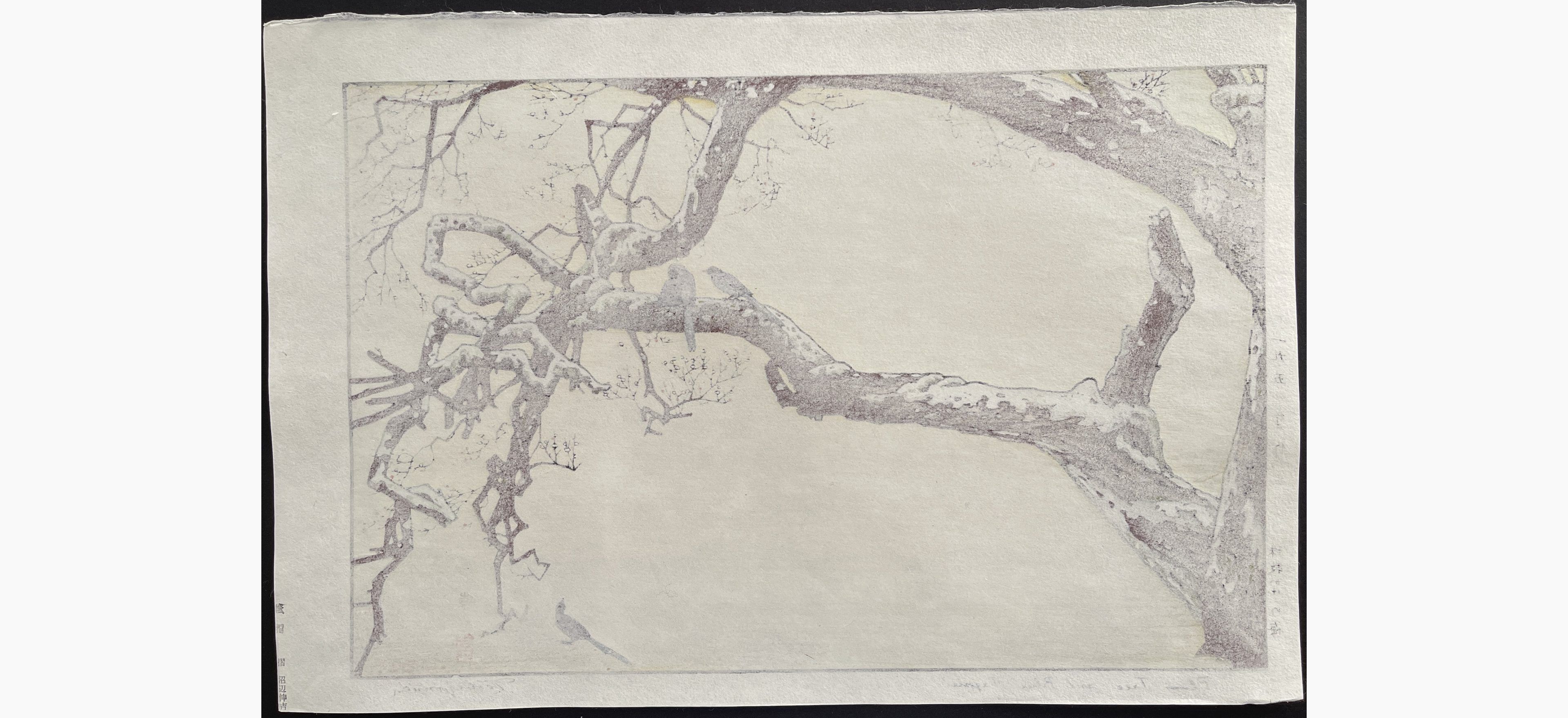 Japanese print - Toshi Yoshida - Plum Tree & Blue Magpie