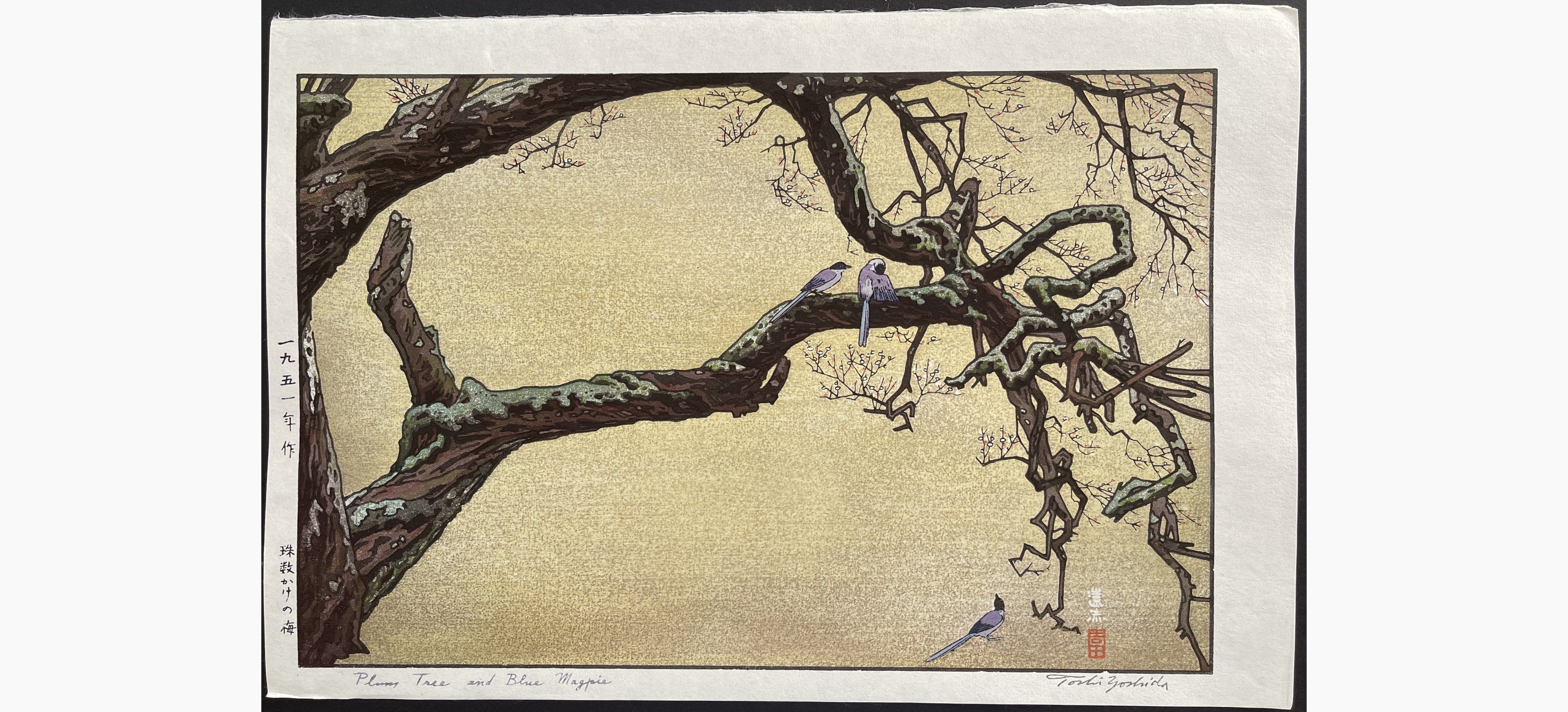 Japanese woodblock print - Toshi Yoshida - Plum Tree & Blue Magpie
