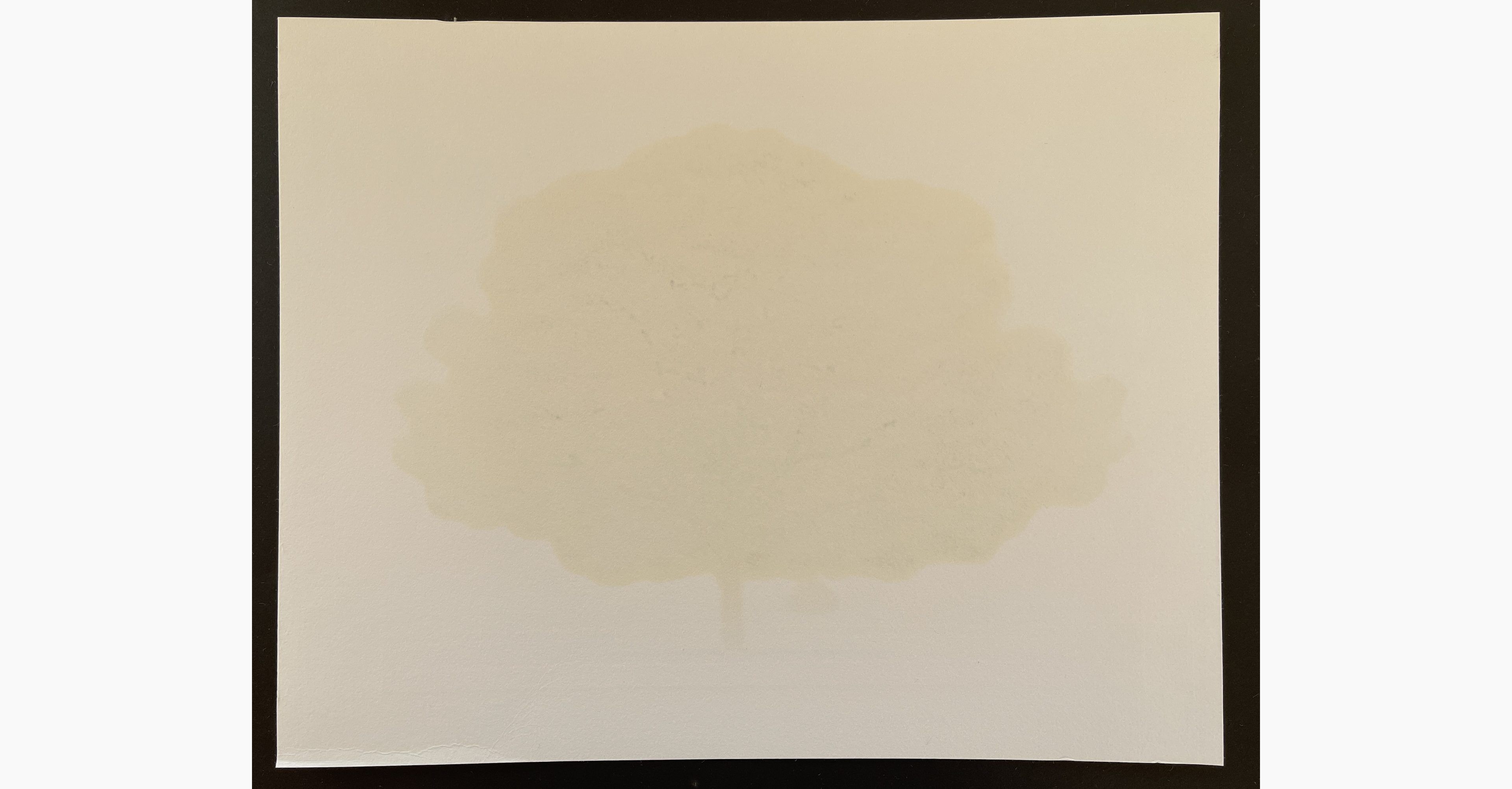 Woodblock print - Hajime Namiki - Blue Tree