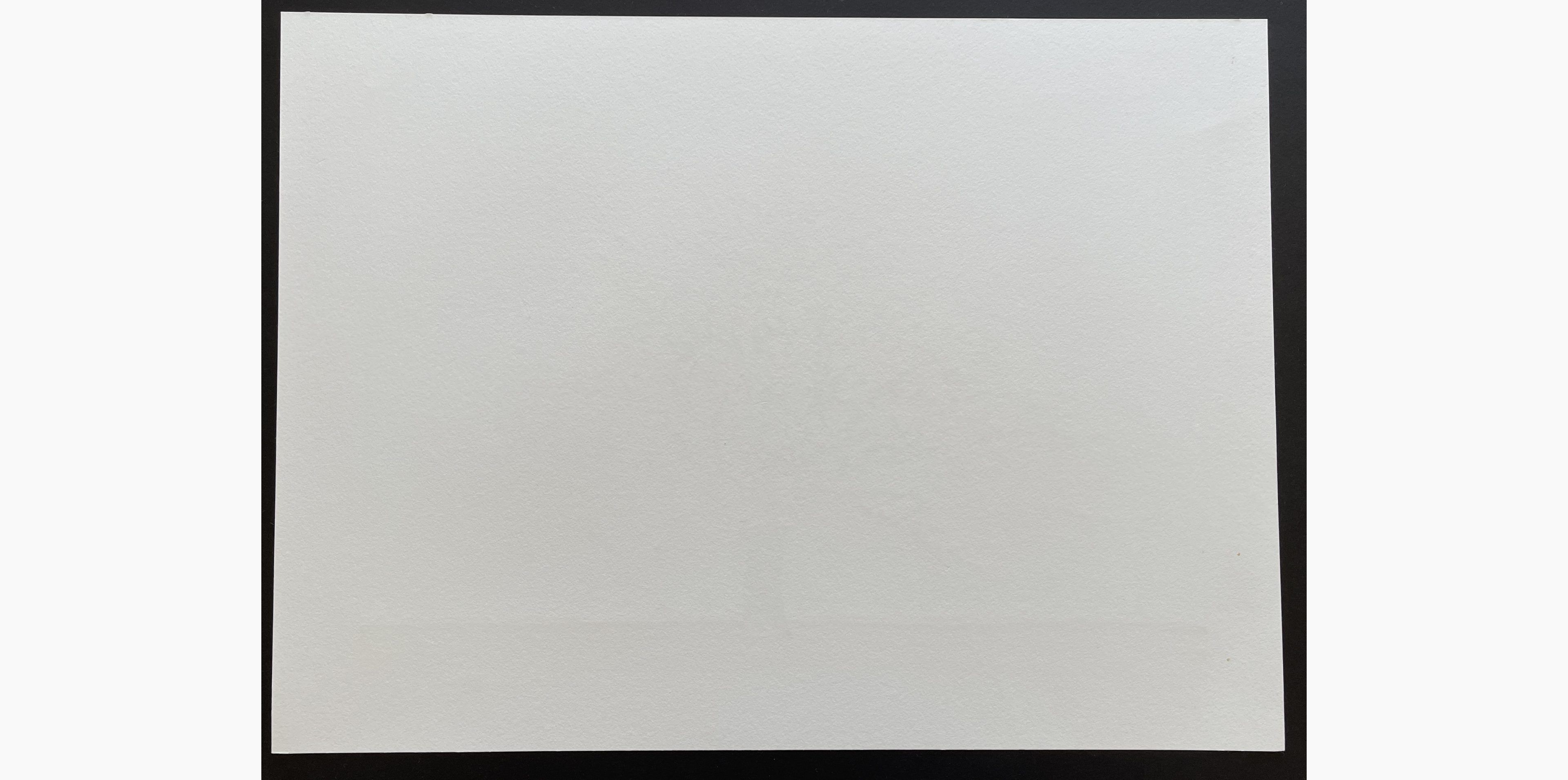 Woodblock print - Hajime Namiki - Magnolia 2