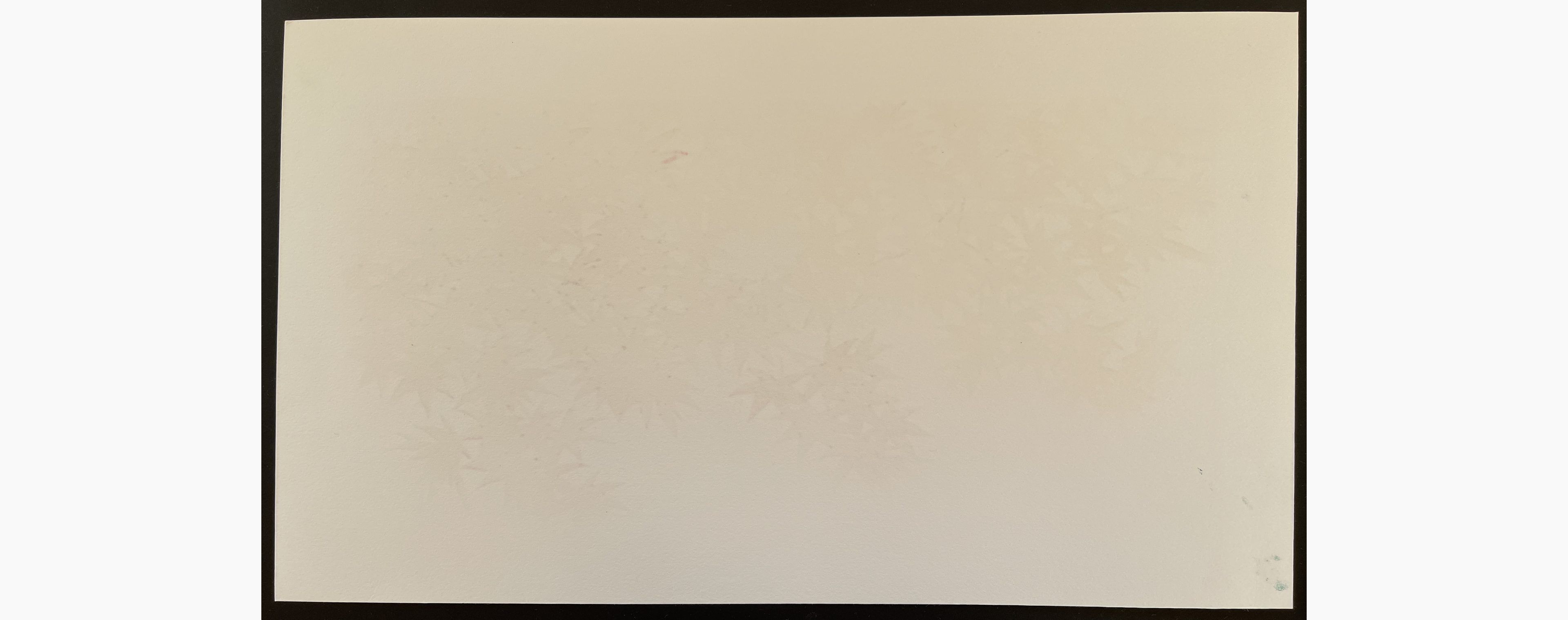 Woodblock print - Hajime Namiki - Momiji 3