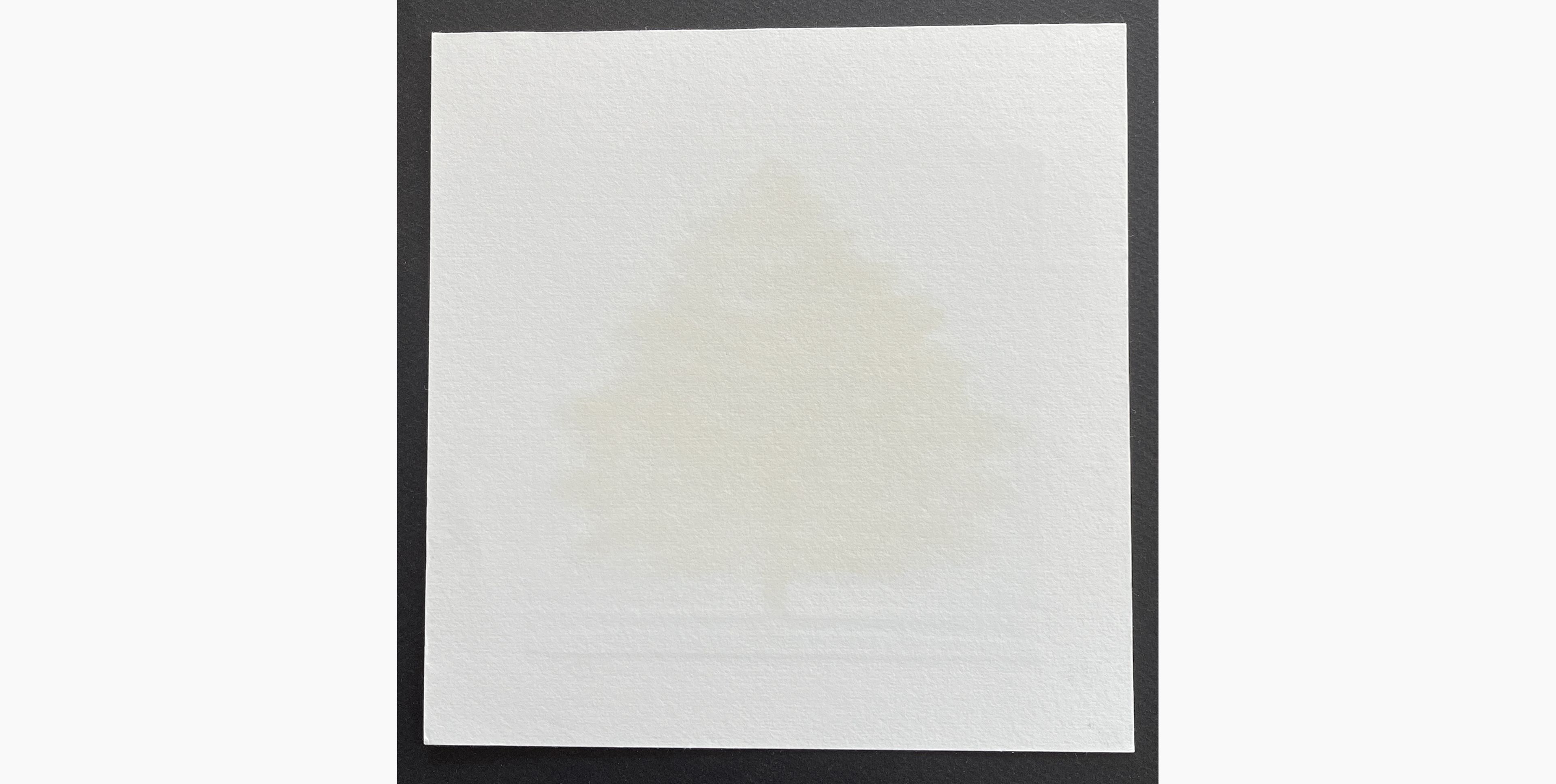 Woodblock print - Hajime Namiki - Tree scene 134B