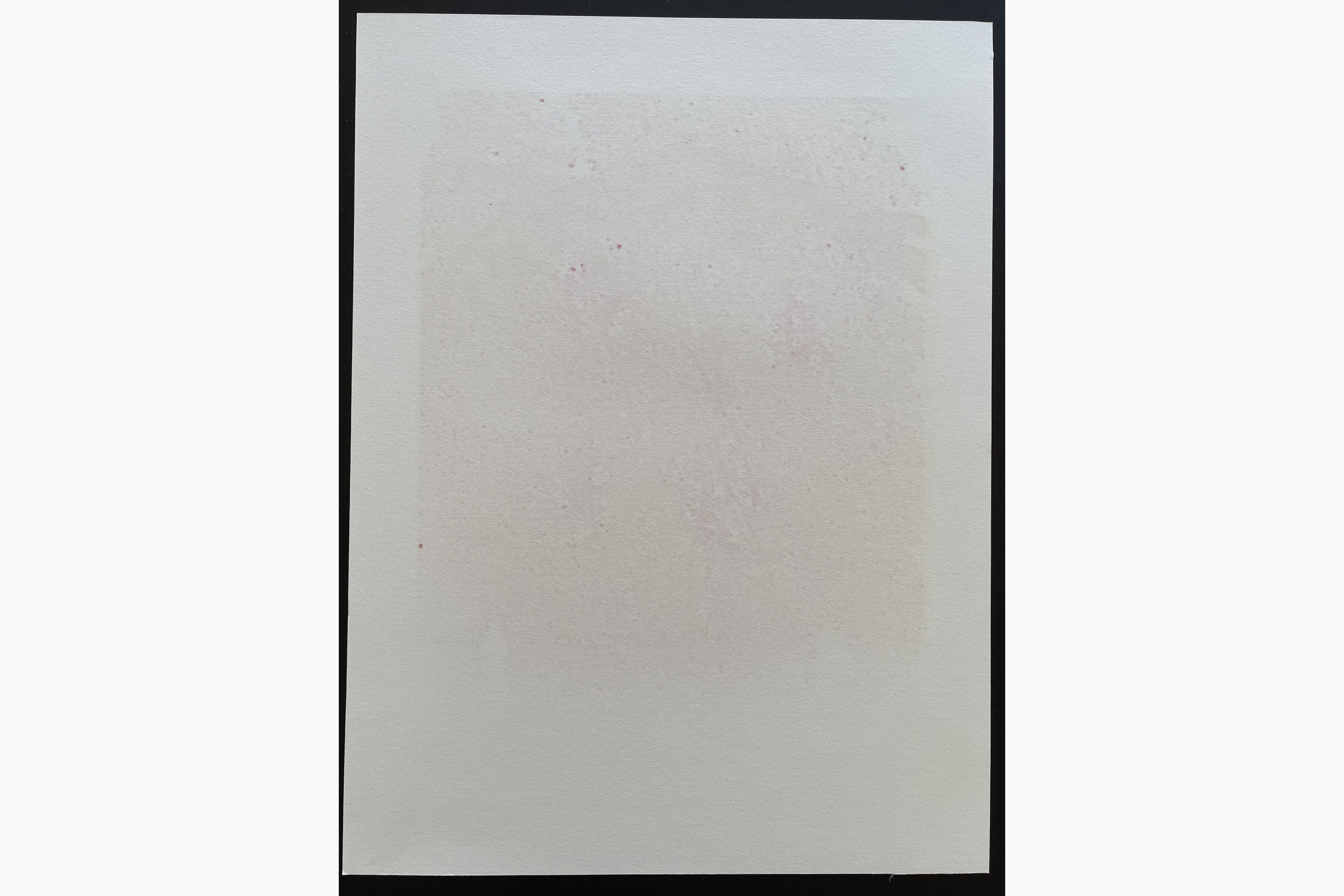 Woodblock print - Hajime Namiki - Weeping Cherry 19