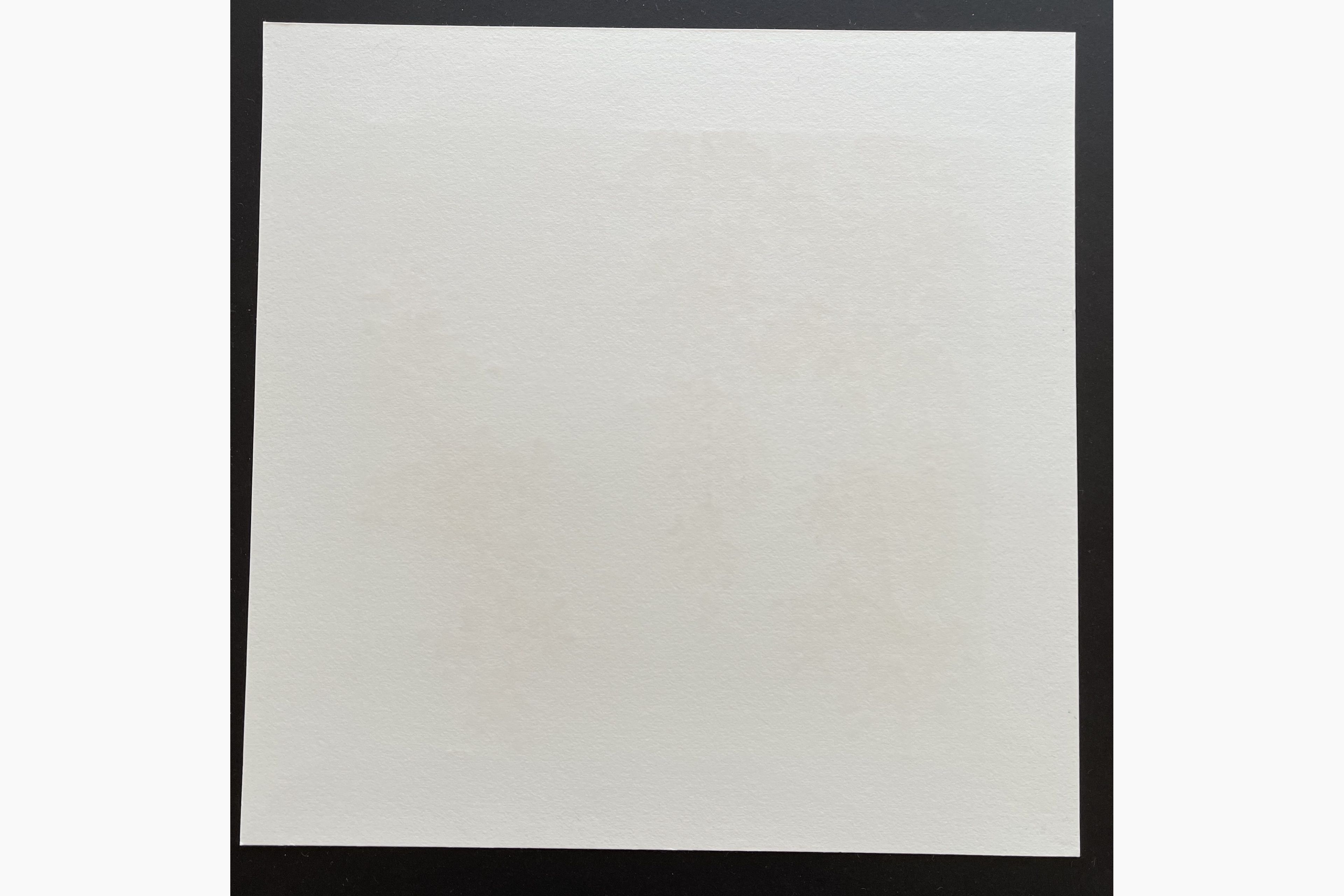 Woodblock print - Hajime Namiki - Weeping Cherry 22