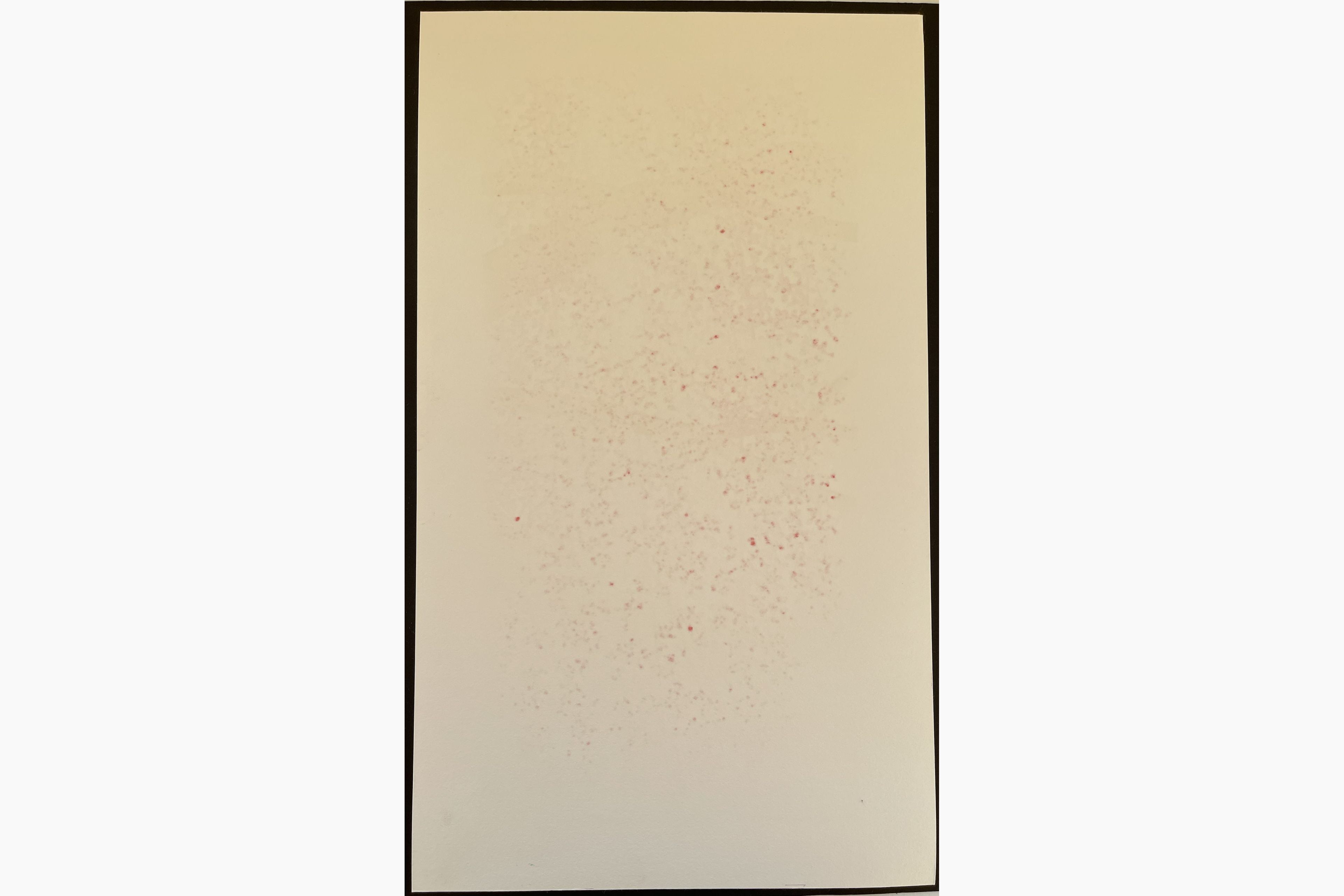 Woodblock print - Hajime Namiki - Weeping Cherry 28