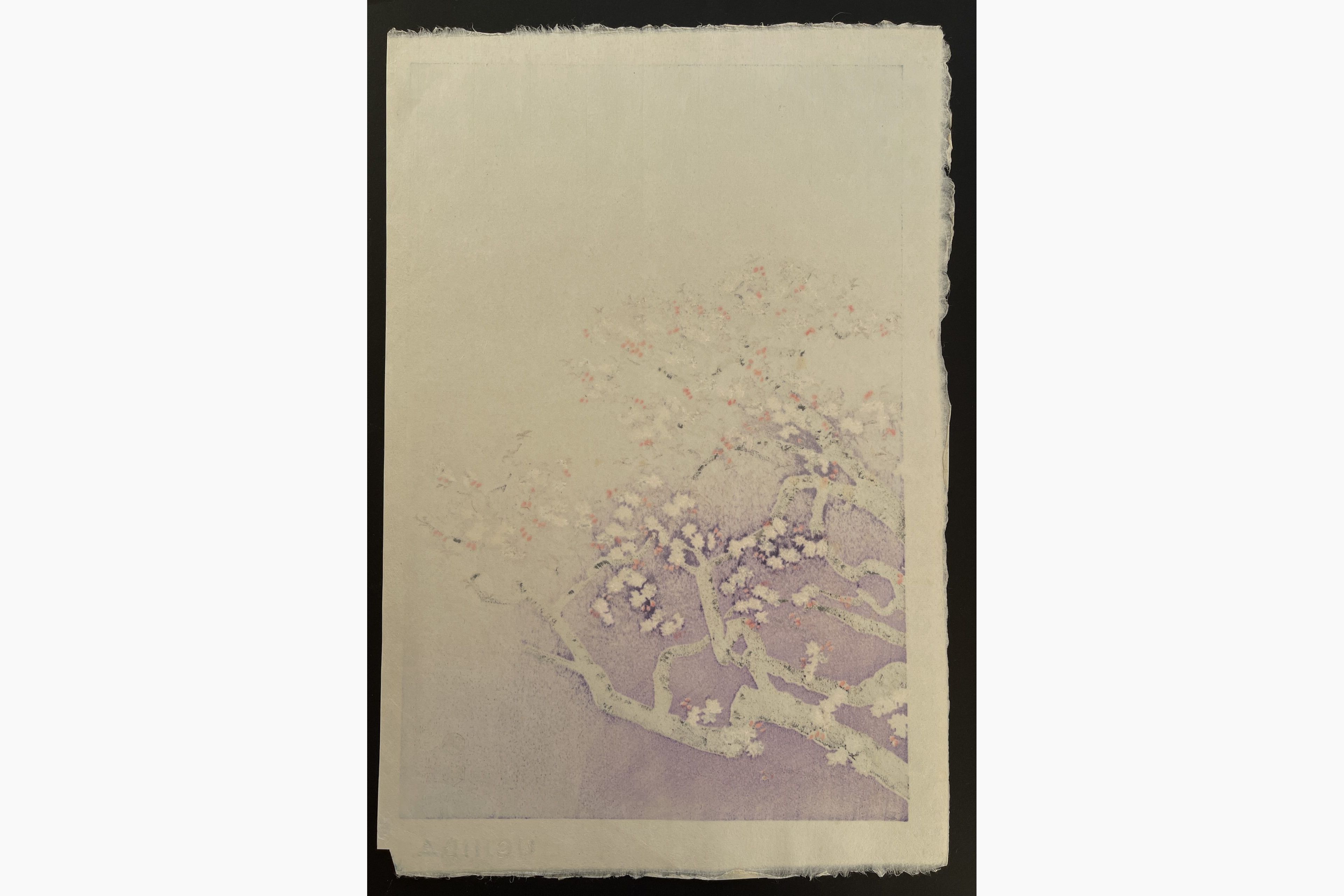 Japanese print - Eiichi Kotozuka - Cherry Blossoms