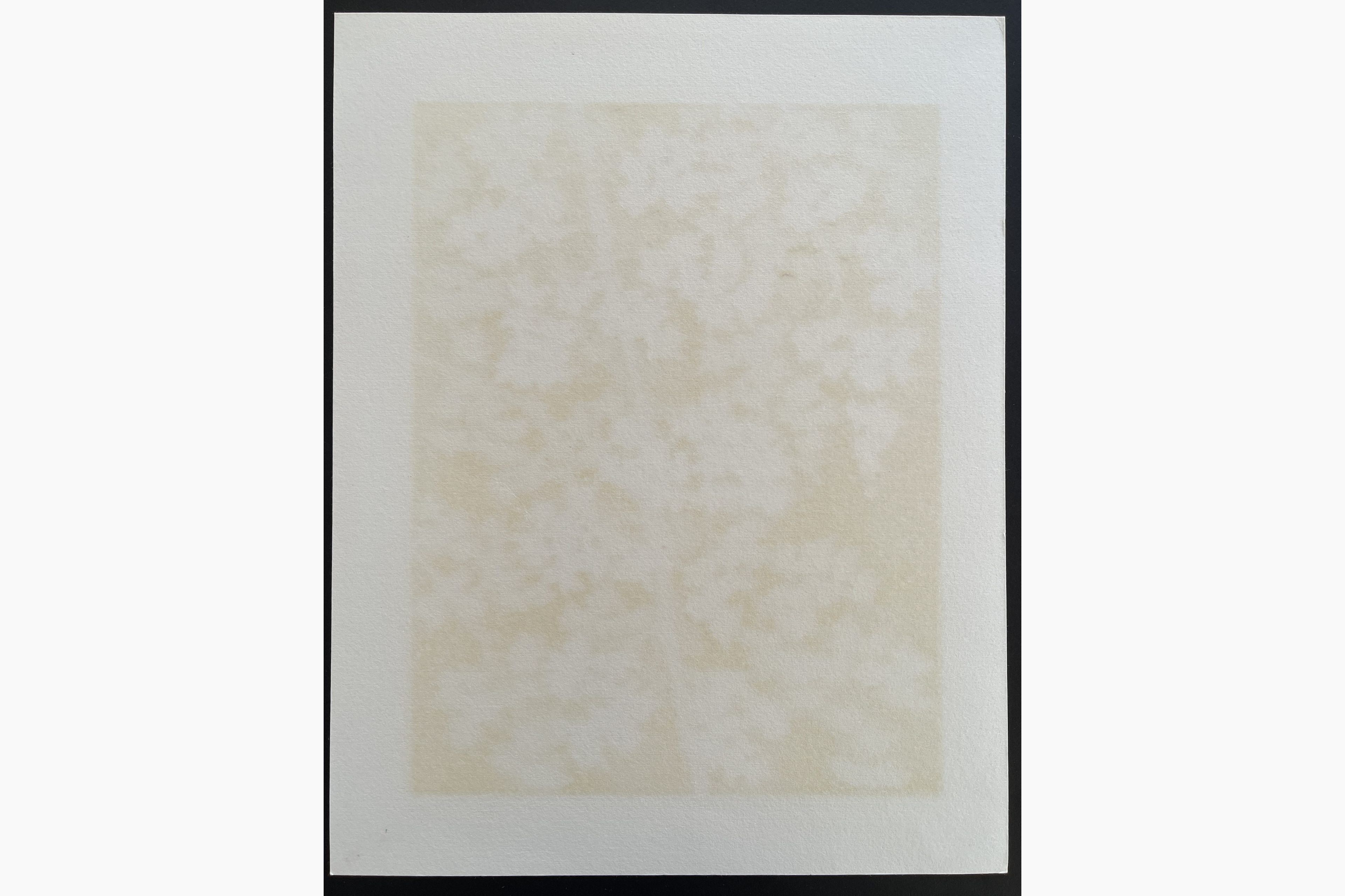 Japanese print - Hajime Namiki - Weeping Cherry 16B