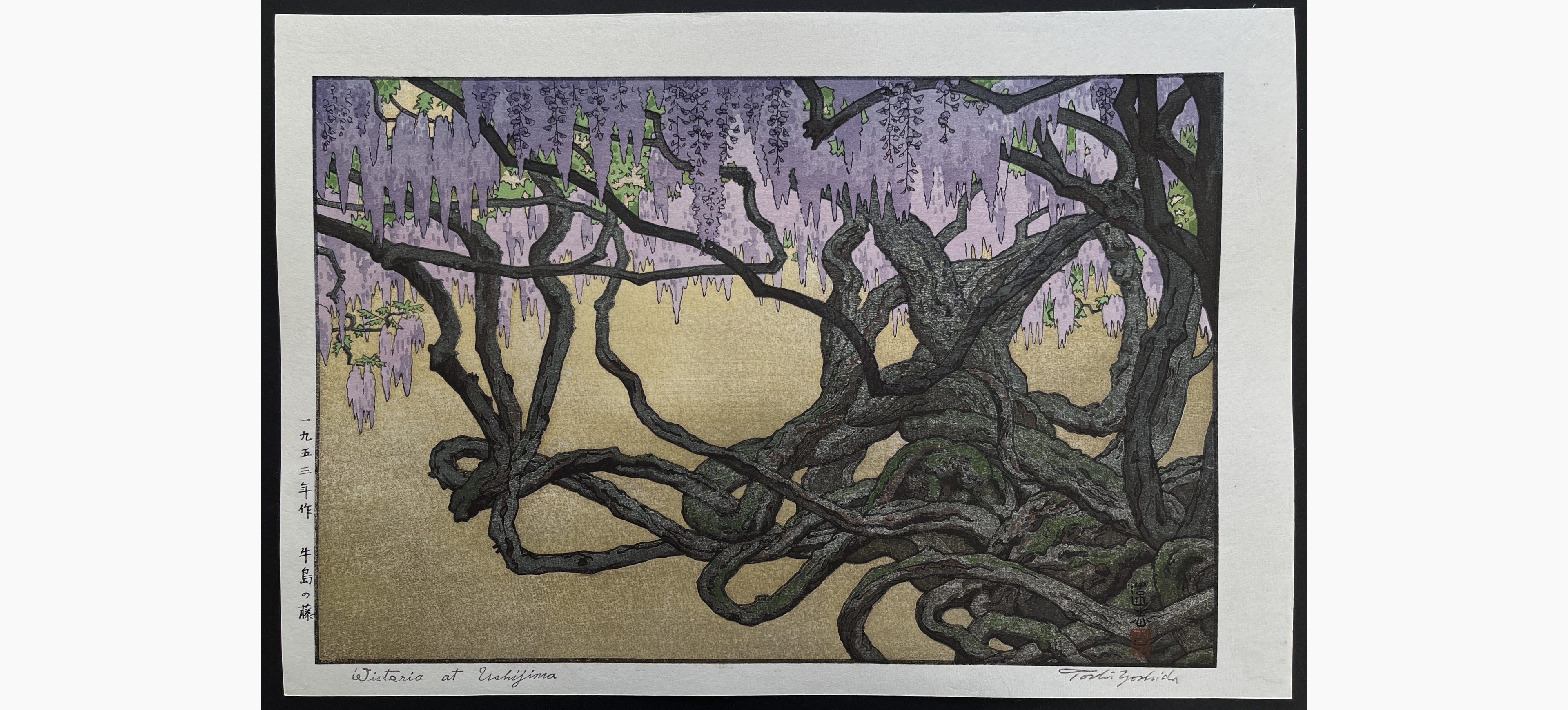 Japanese woodblock print - Toshi Yoshida - Wisteria at Ushijima
