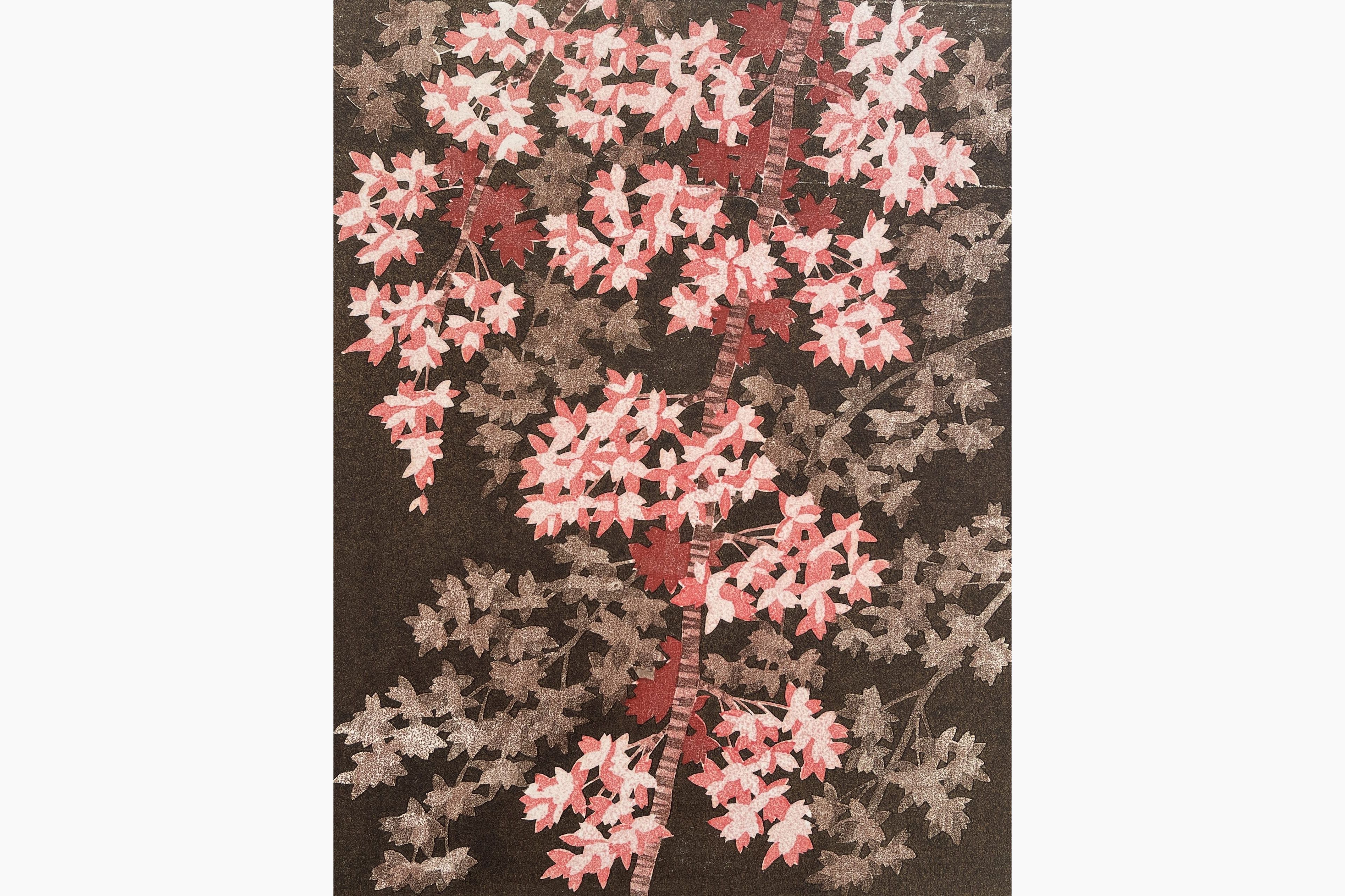 Original woodblock print - Hajime Namiki - Weeping Cherry 16B