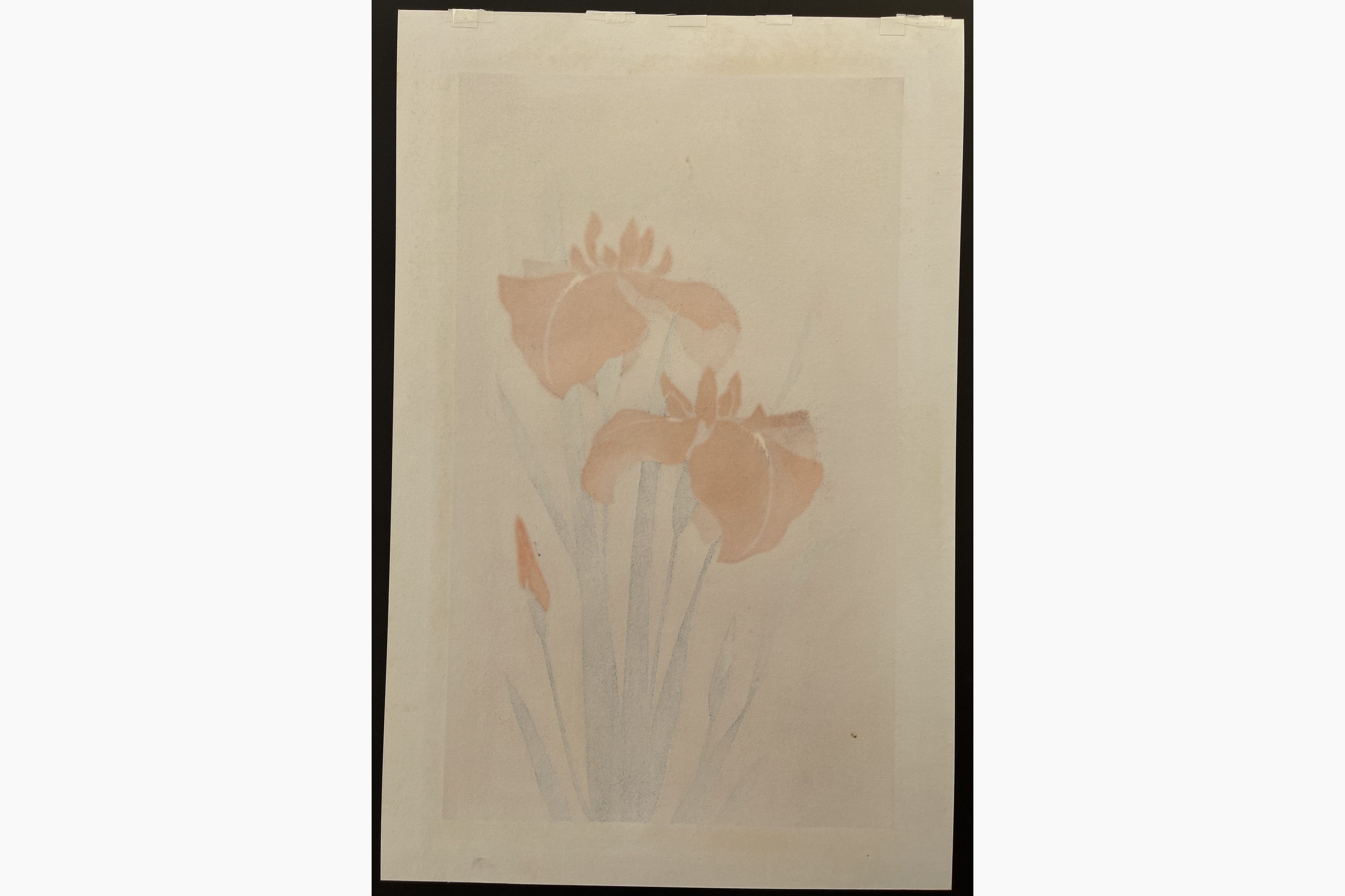 Woodblock print - Hajime Namiki - Iris 4