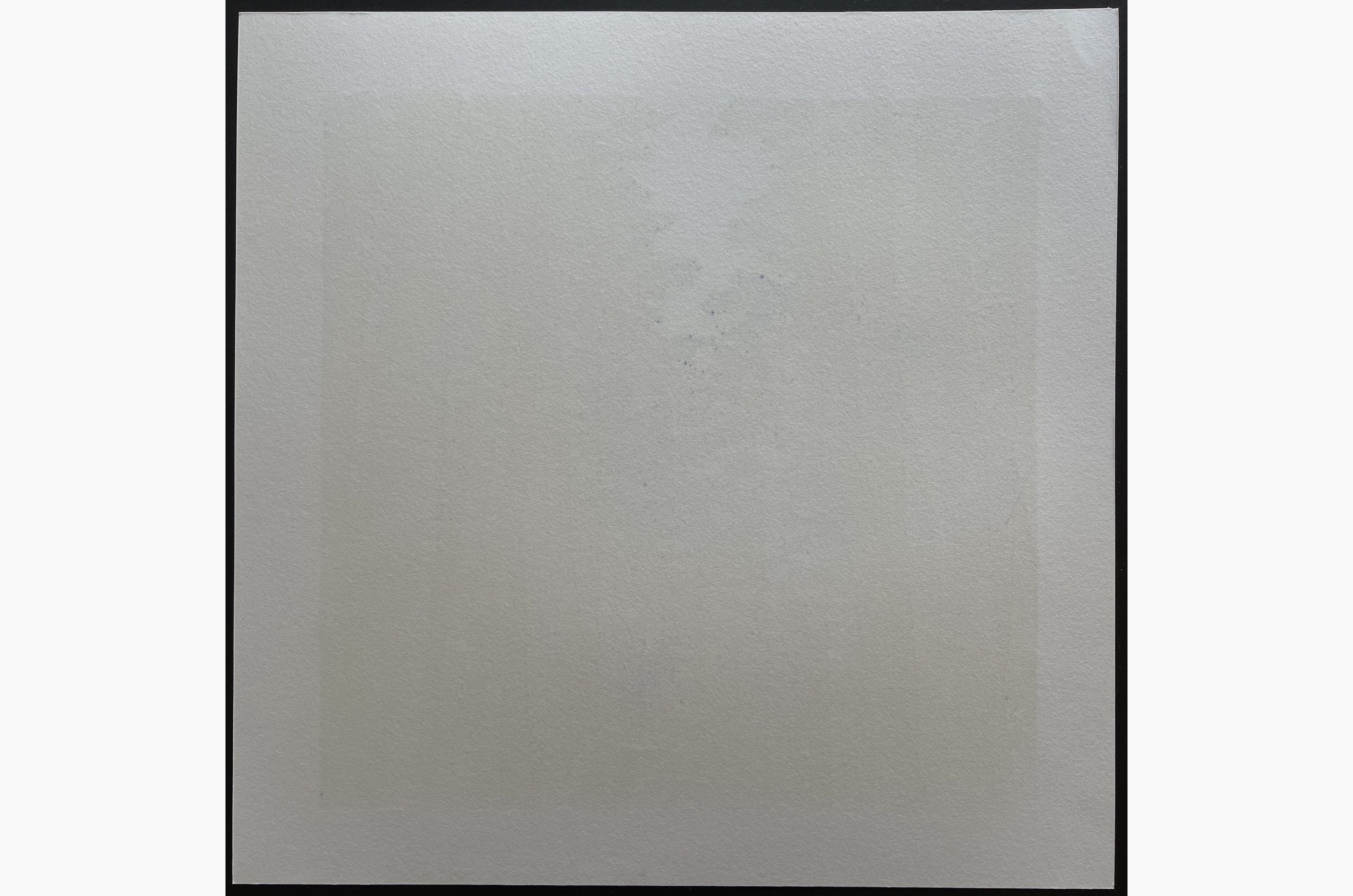 Woodblock print - Hajime Namiki - Tree scene 128