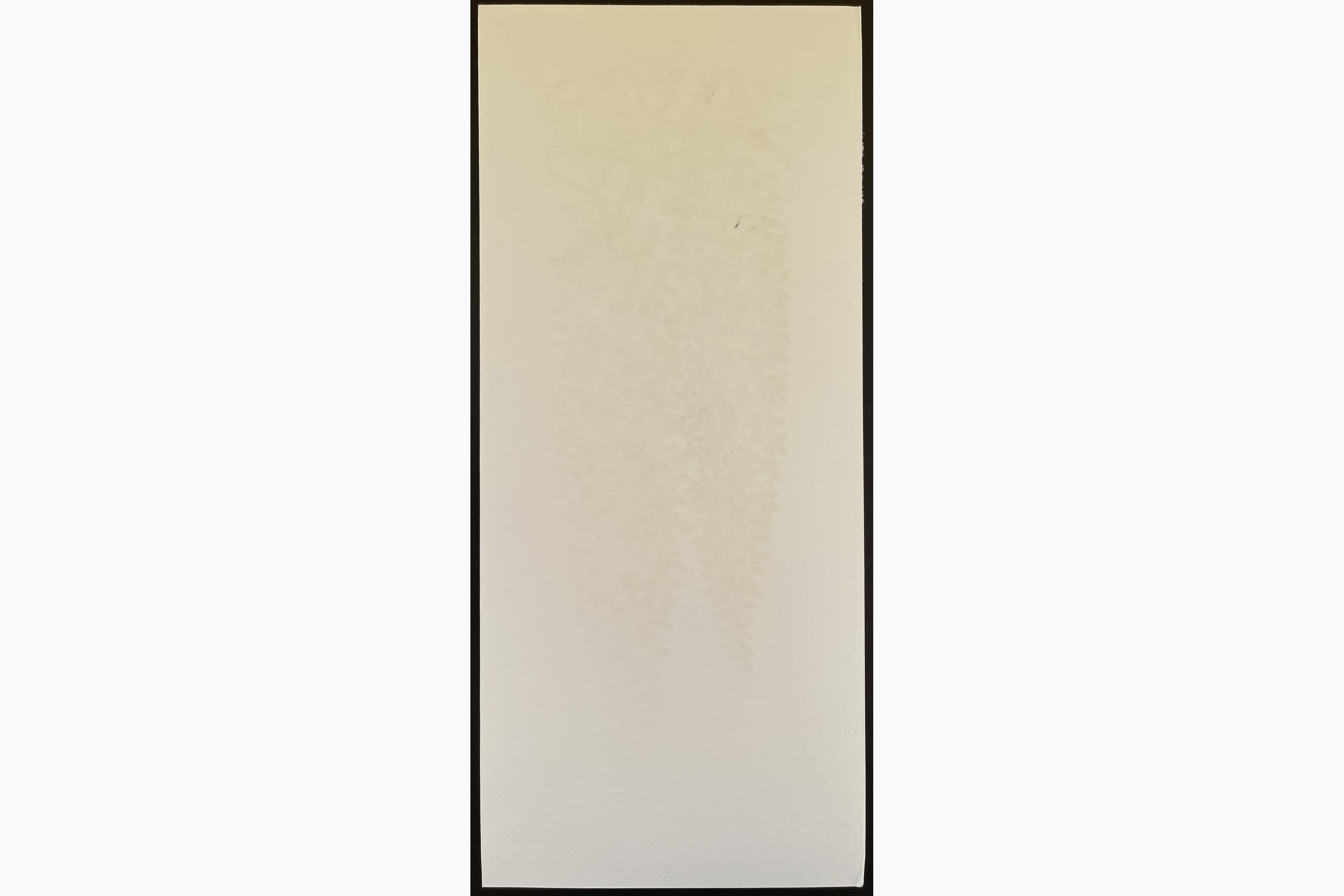 Woodblock print - Hajime Namiki - Wisteria 1