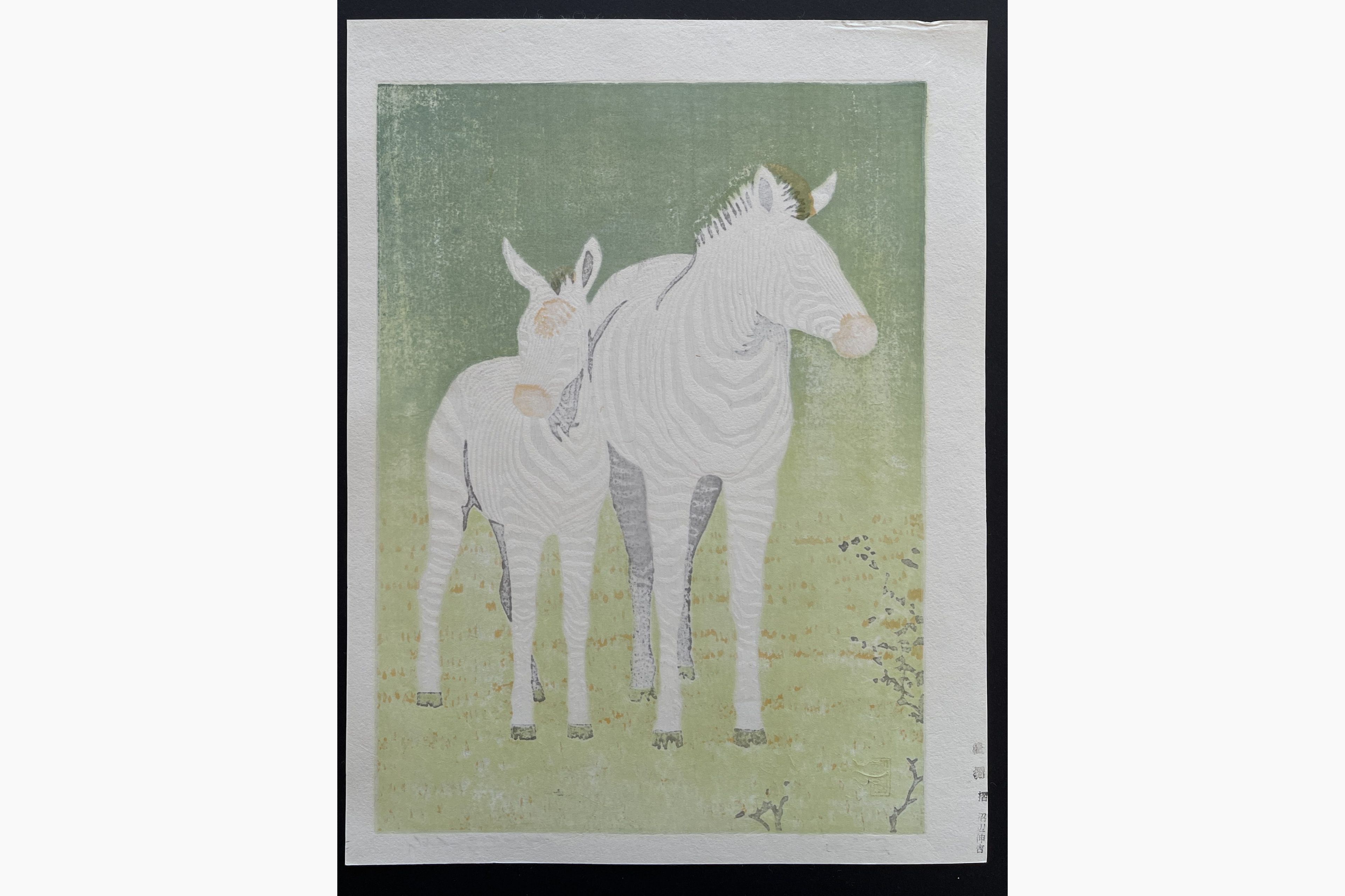 Japanese print - Toshi Yoshida - Zebras