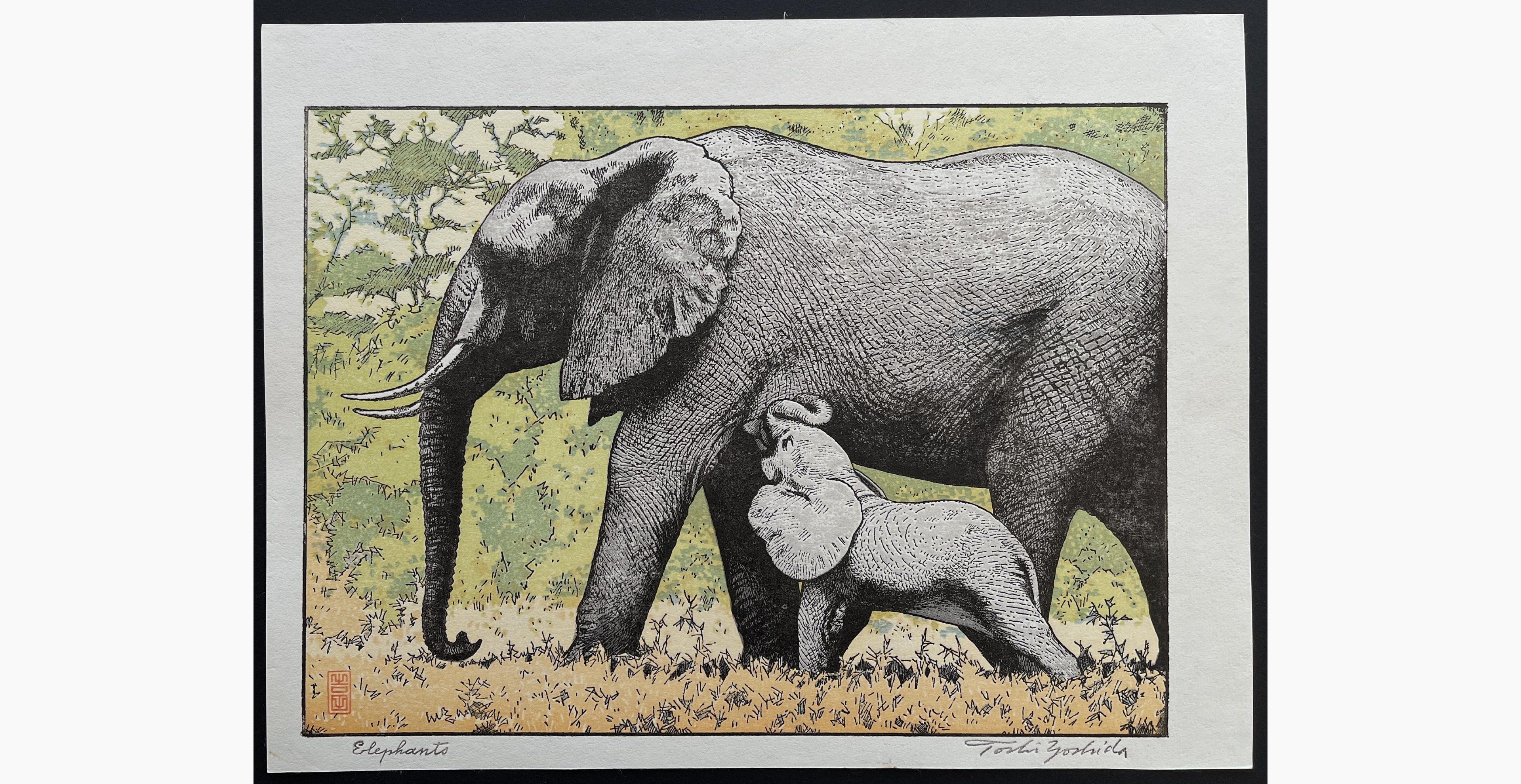 Japanese woodblock print - Toshi Yoshida - Elephants