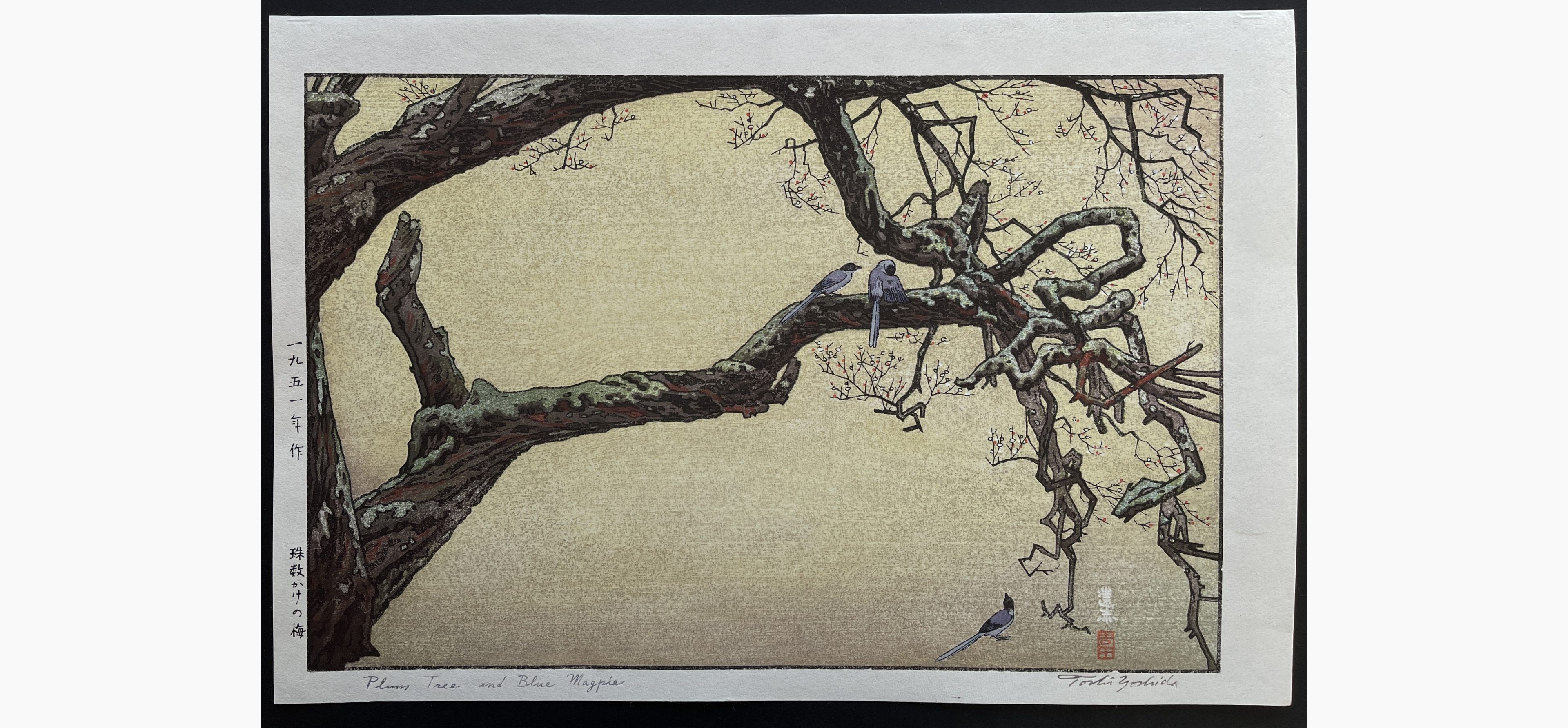 Japanese woodblock print - Toshi Yoshida - Plum Tree & Blue Magpie