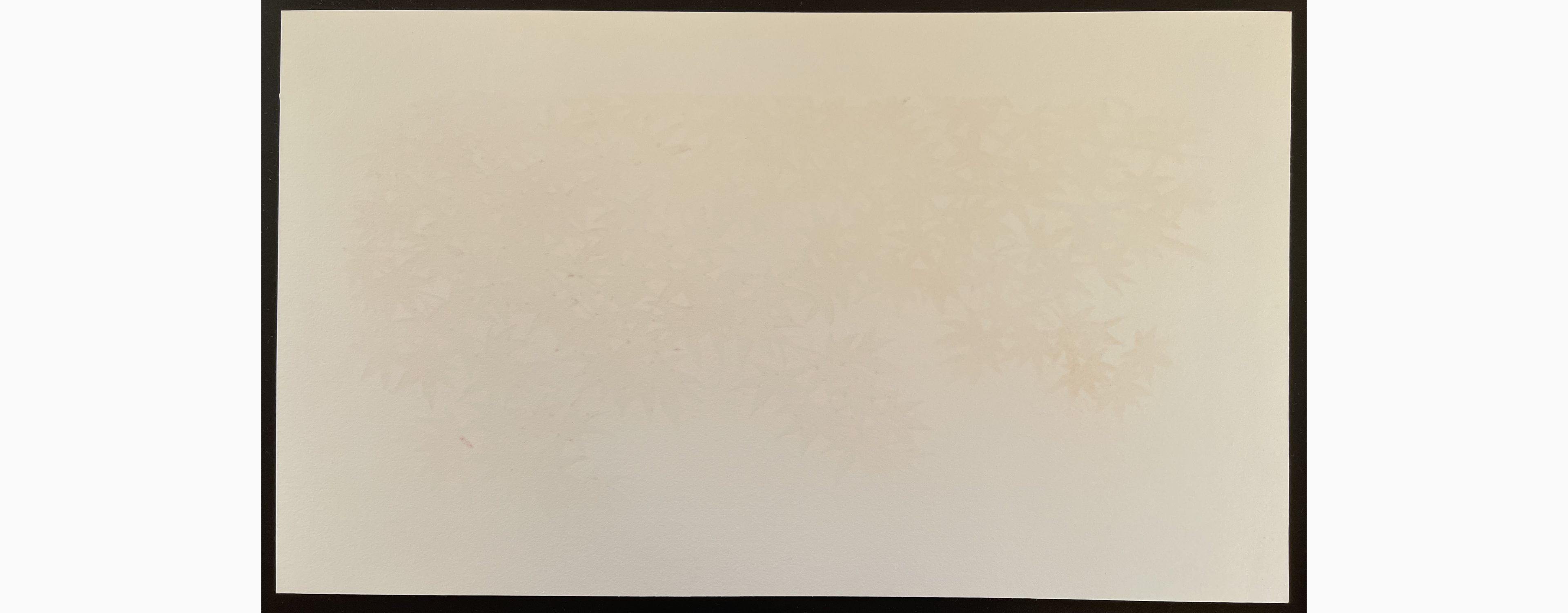 Woodblock print - Hajime Namiki - Momiji 3