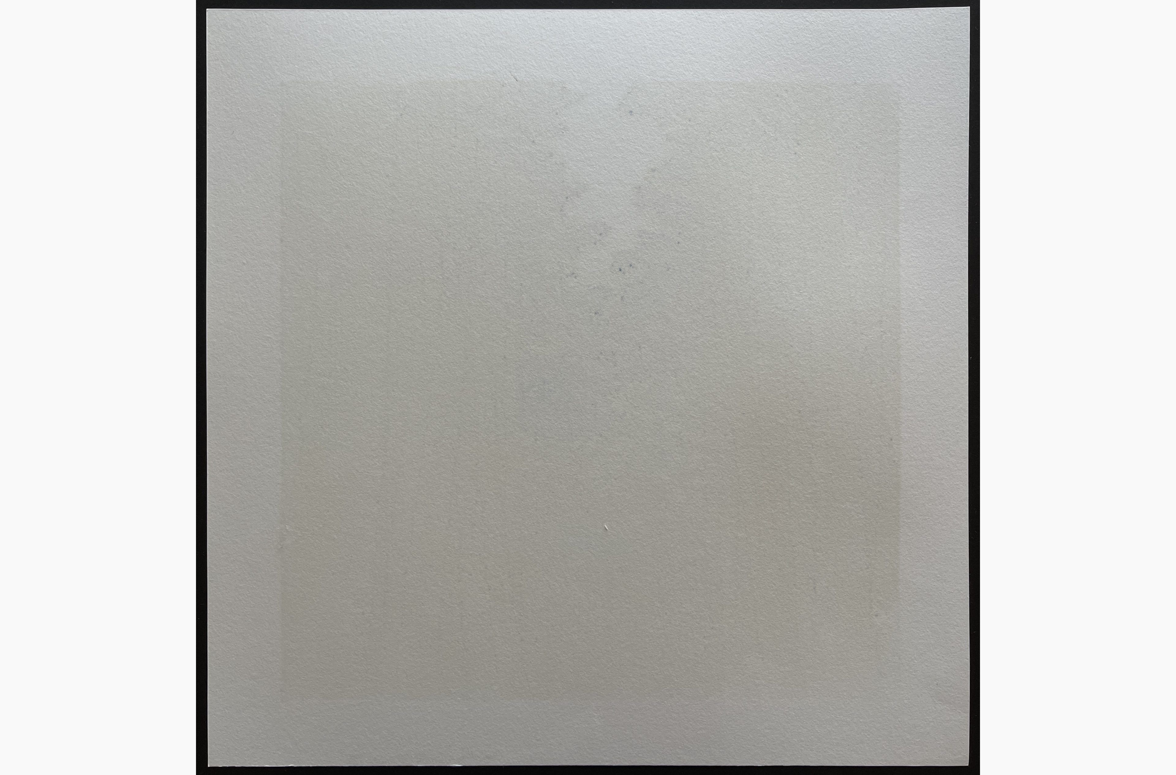 Woodblock print - Hajime Namiki - Tree scene 128