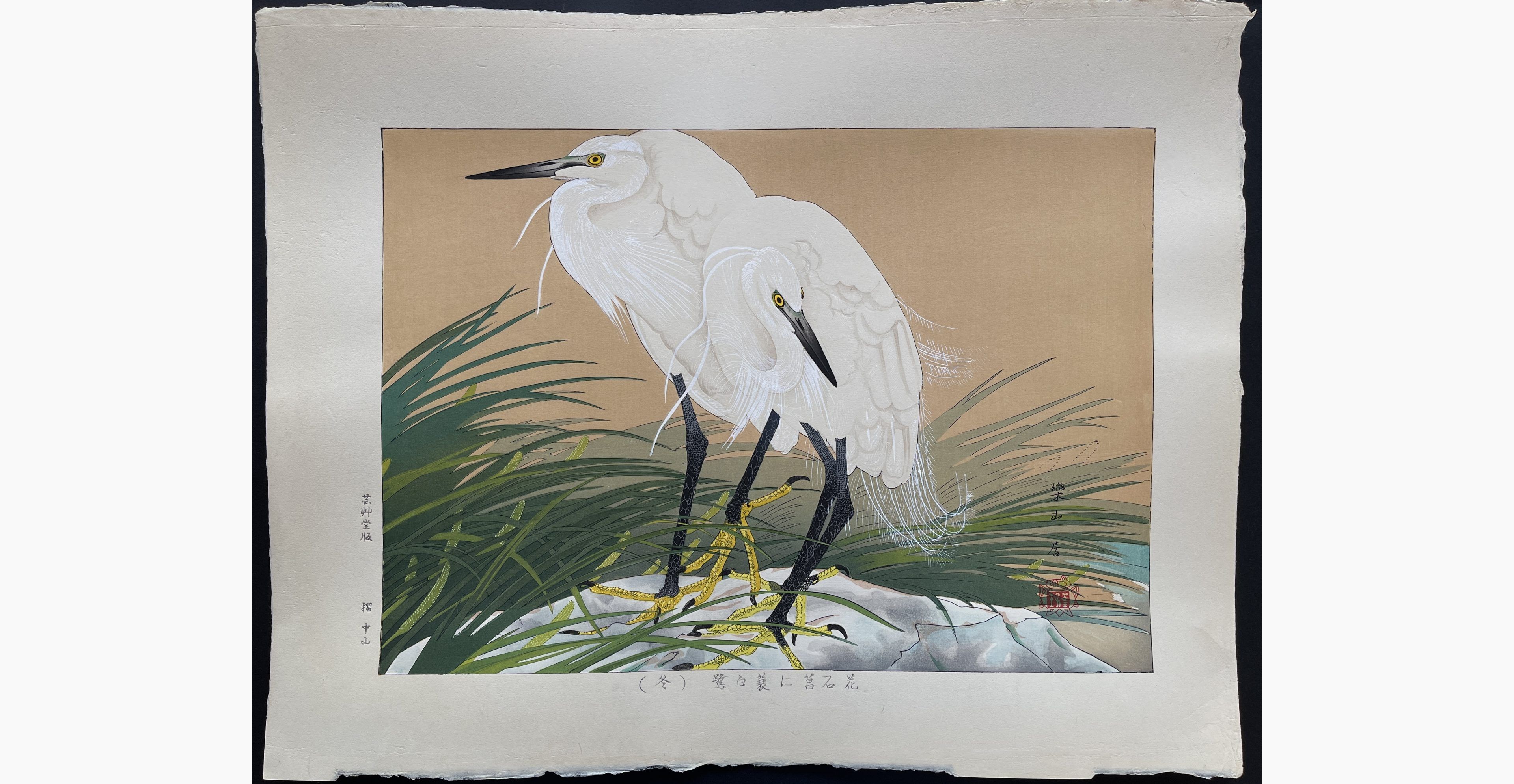 Japanese woodblock print - Rakusan Tsuchiya - Sweet Flag Flowers and Straw-raincloaked Little Egrets (Winter Division)