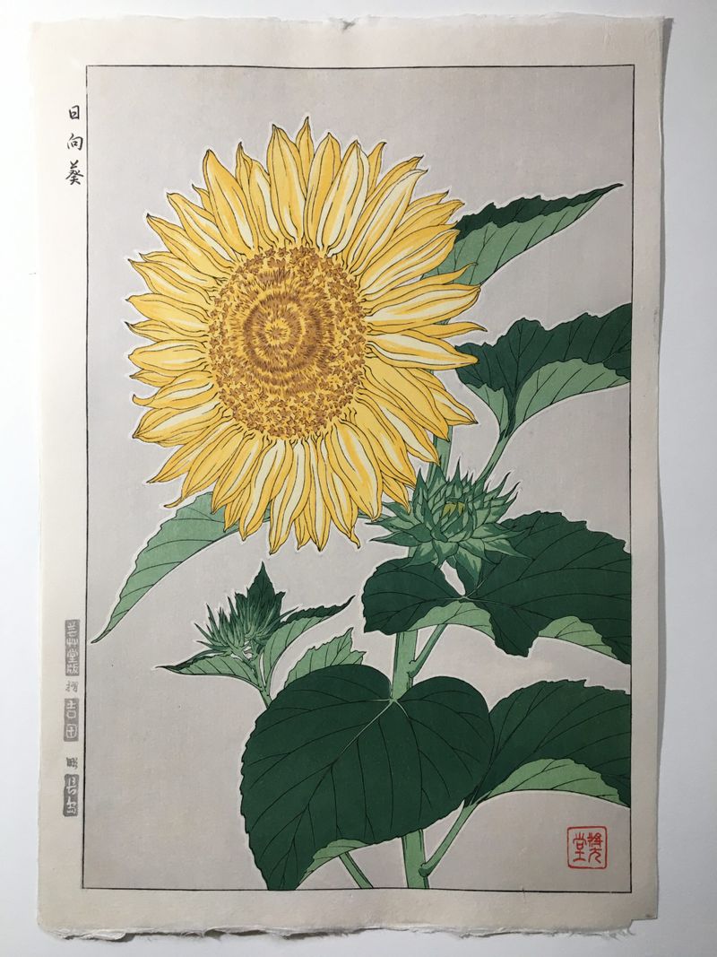 Amazon.com: ZXHYWYM Sunflower Canvas Wall Art Vintage