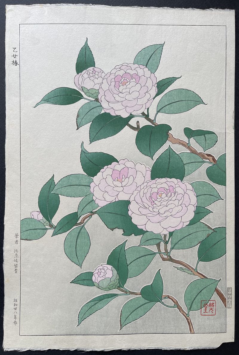 新しいフランス (1964年) (Kawade paperbacks) Amazon.com: 河出書房新社: books, biography, latest update